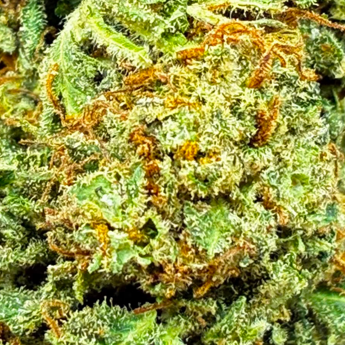ROYAL CHEESE