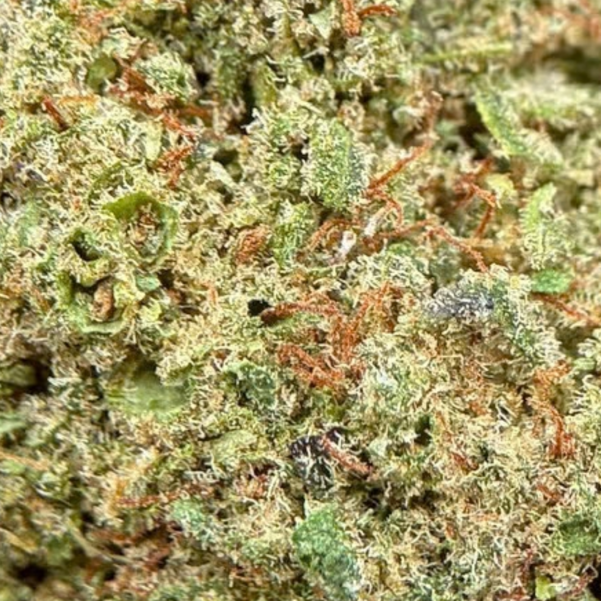 London Pound Cake