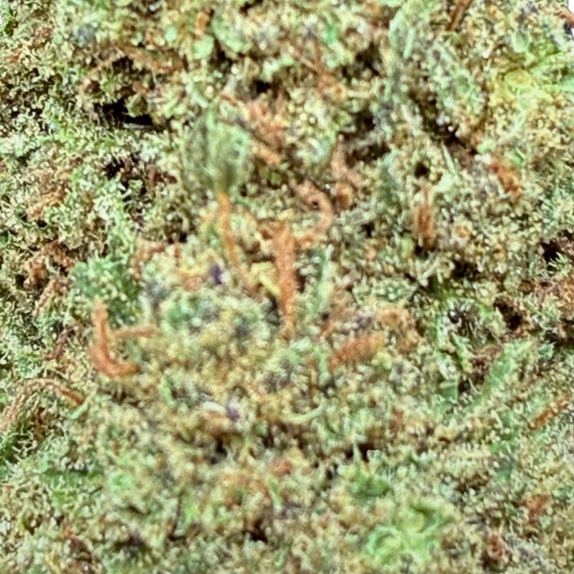 CANDY GAS