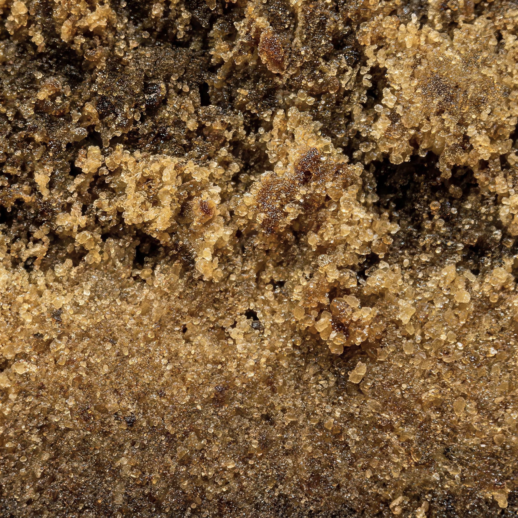 Animal Mintz THCA Hash Makro – Kief-Struktur & Trichome | GLAZED®