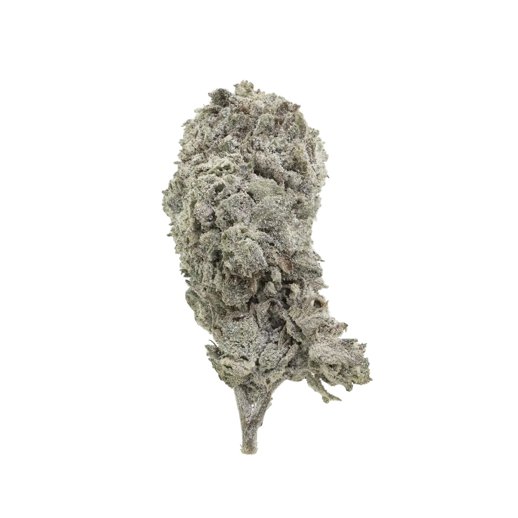 Amnesia Haze kaufen | GLAZED®