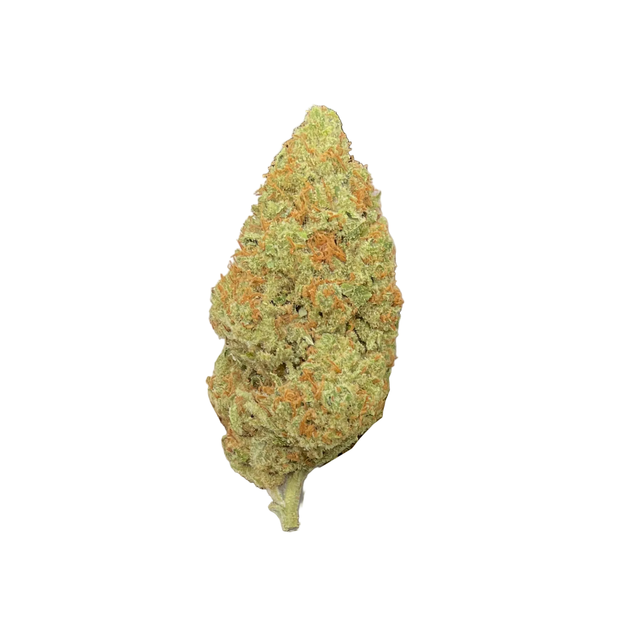 Amnesia Haze CBD kaufen | GLAZED®