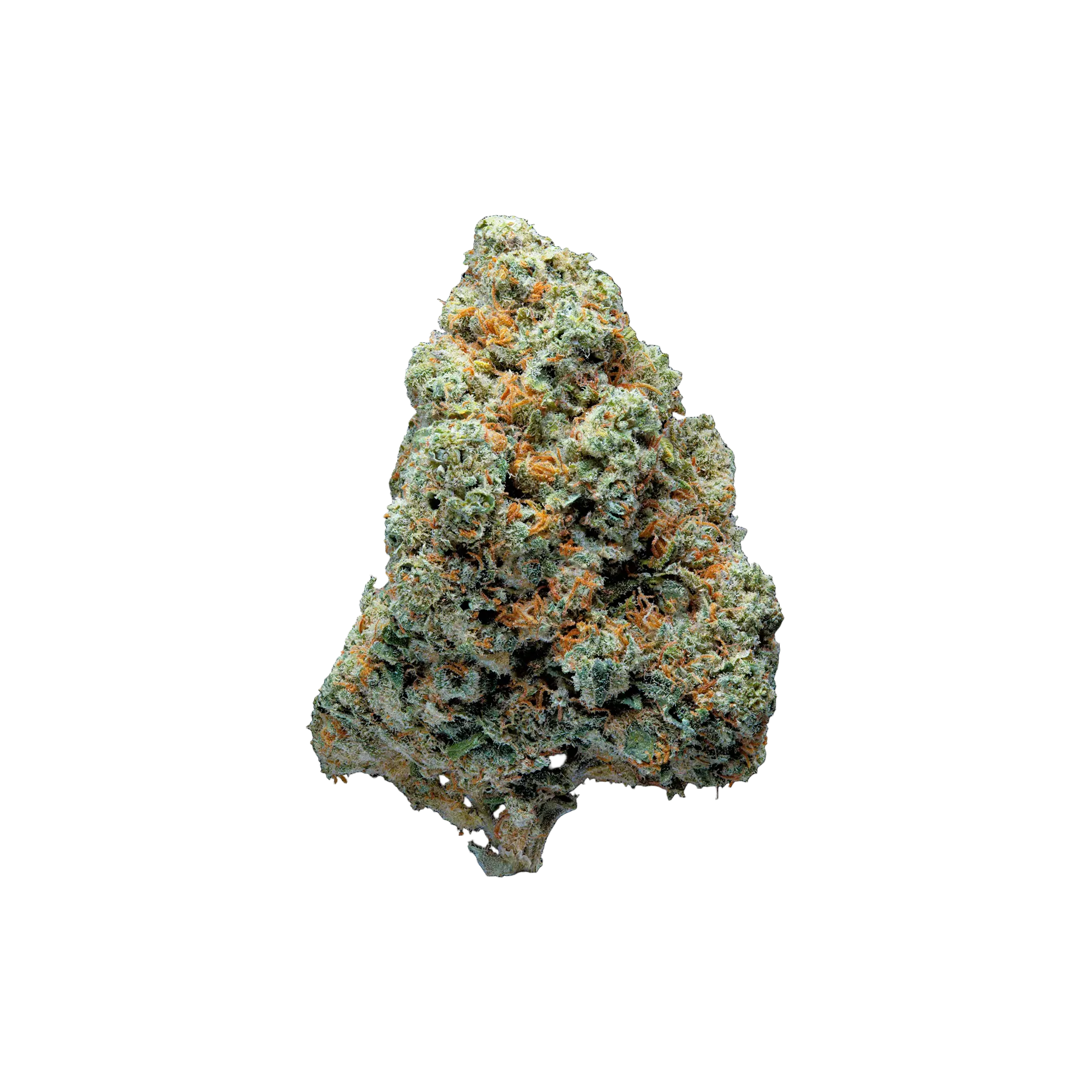 Amnesia Hy-Pro THCA Blüten kaufen | GLAZED®