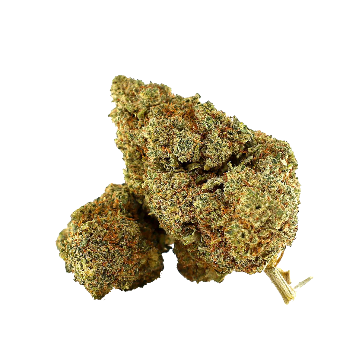 AMNESIA OG THCA Infused Blüten kaufen | GLAZED®