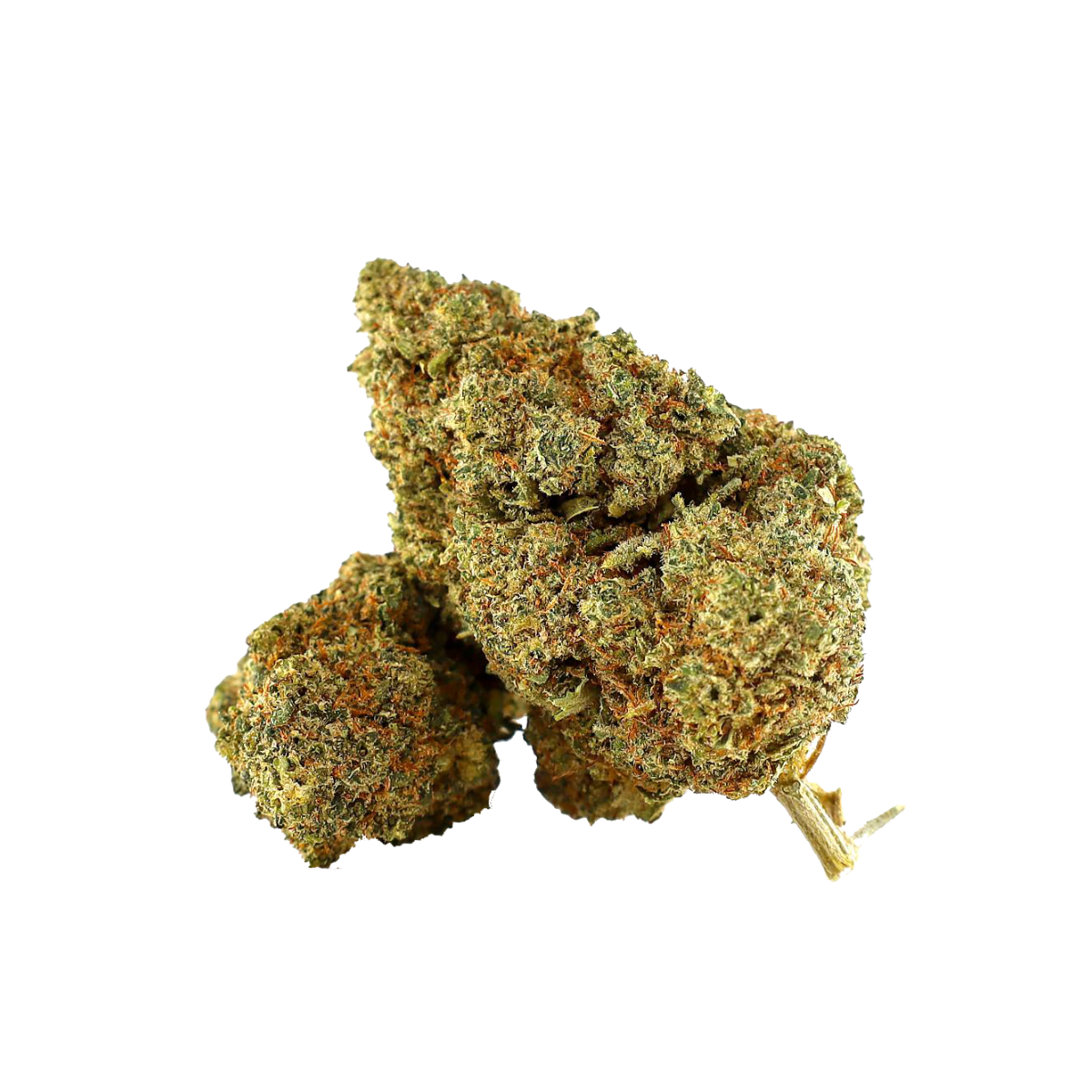 AMNESIA OG THCA Infused Blüten kaufen | GLAZED®