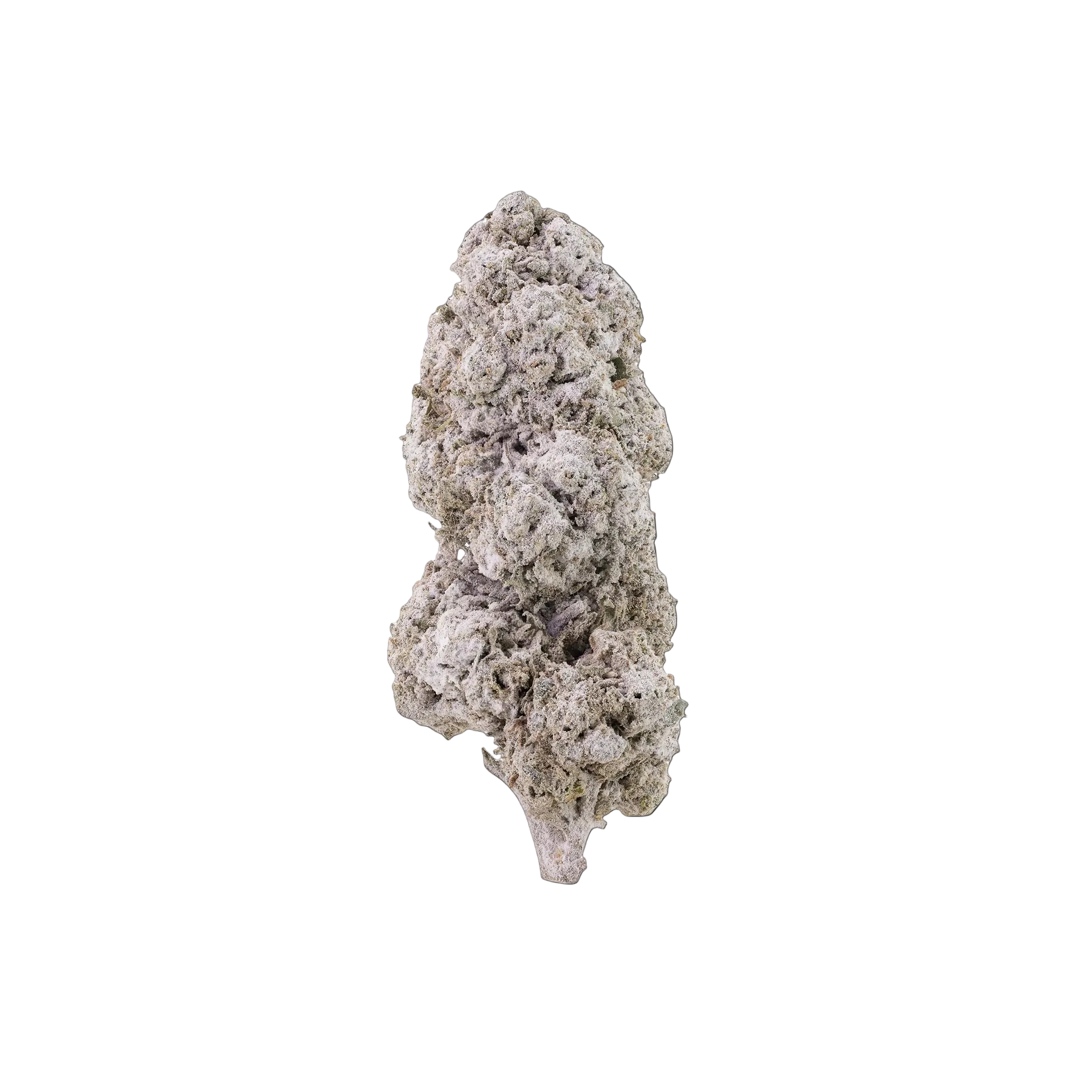 Blackberry Kush THCA Blüten kaufen | GLAZED®