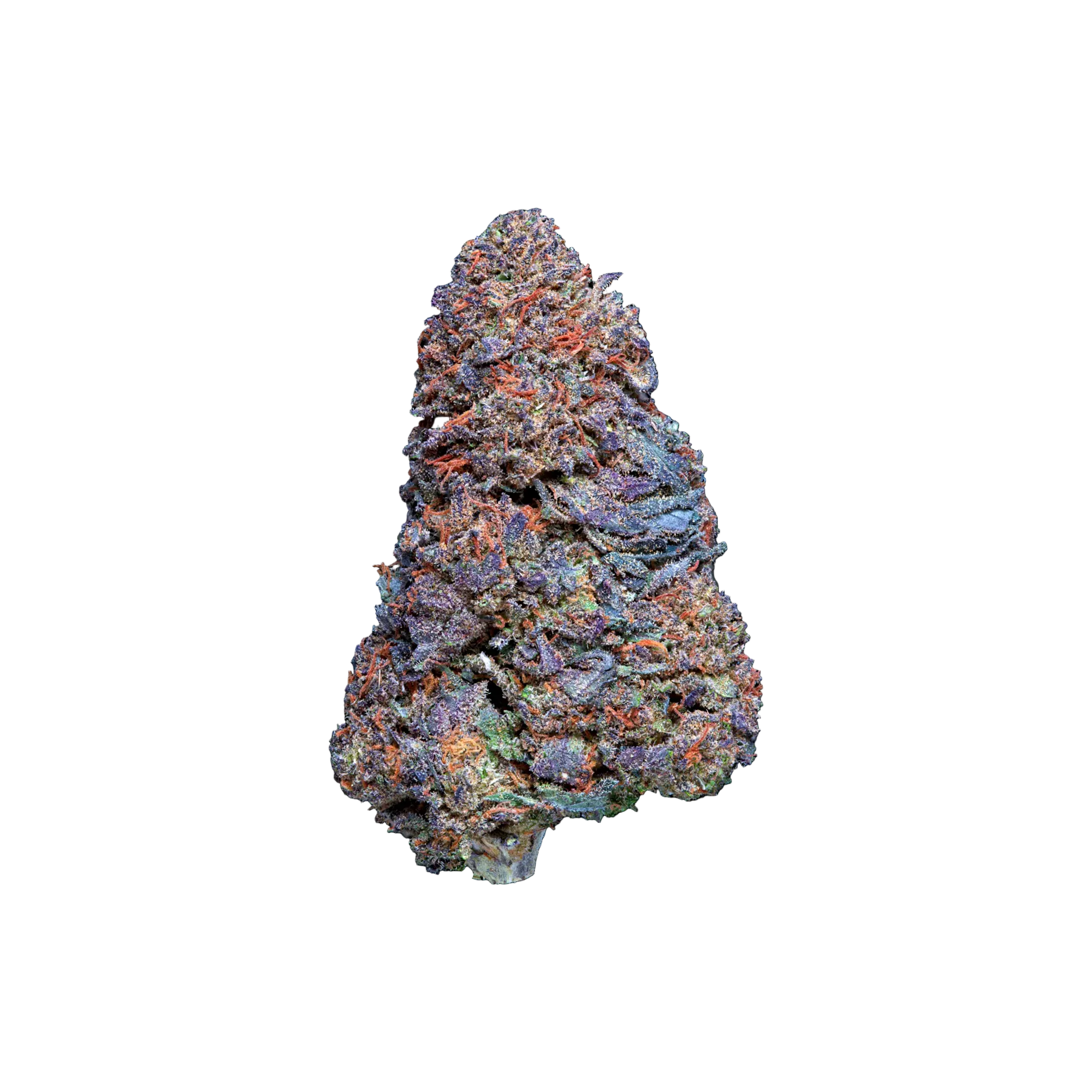 Blue Nerds CBD Blüten kaufen | GLAZED®