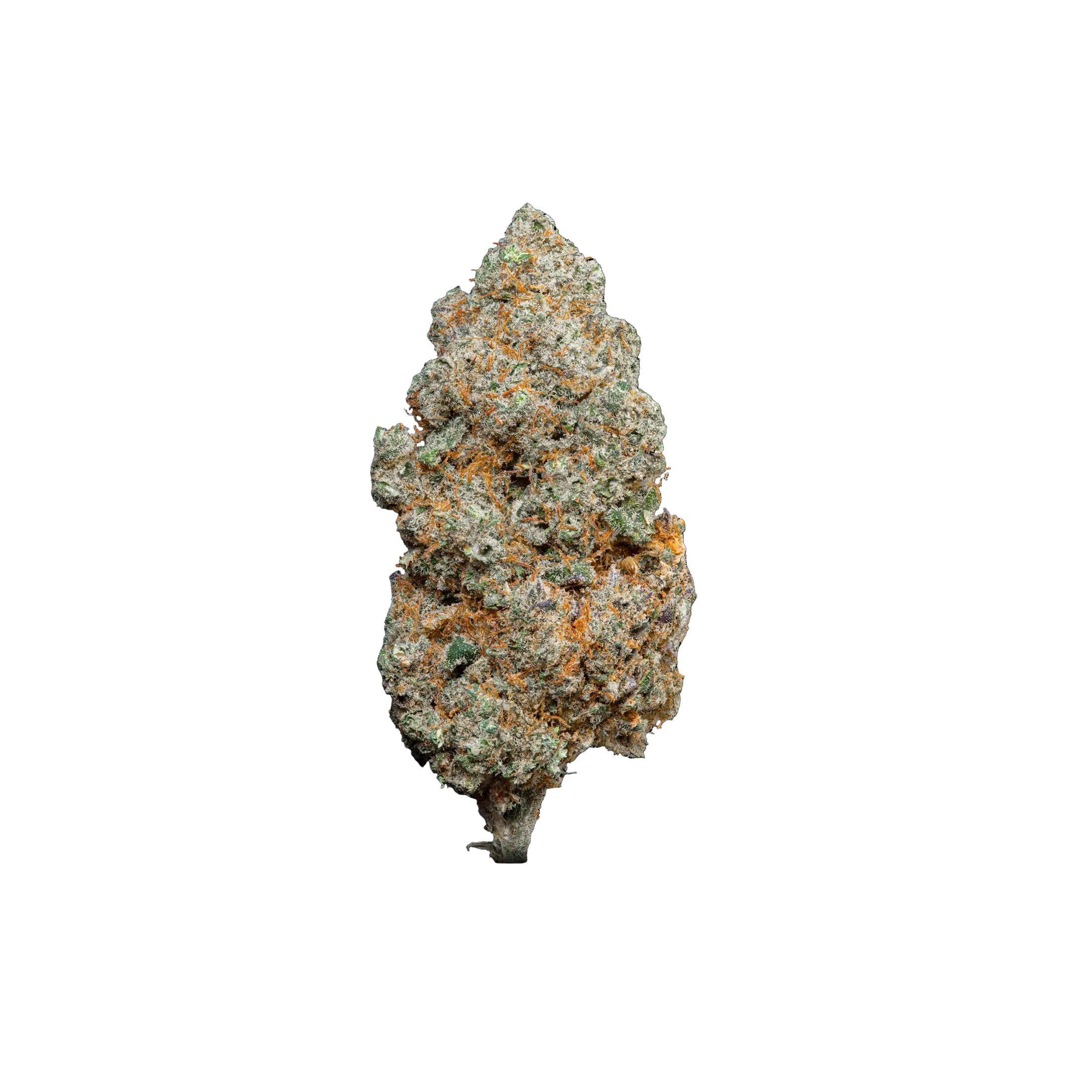 Dantes Inferno THCA Blüten kaufen | GLAZED®