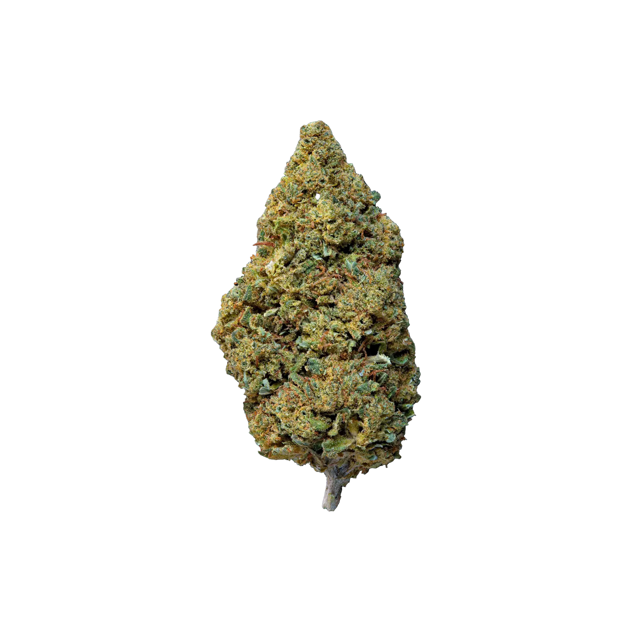 Gelato #41 THCA Blüten kaufen | GLAZED®