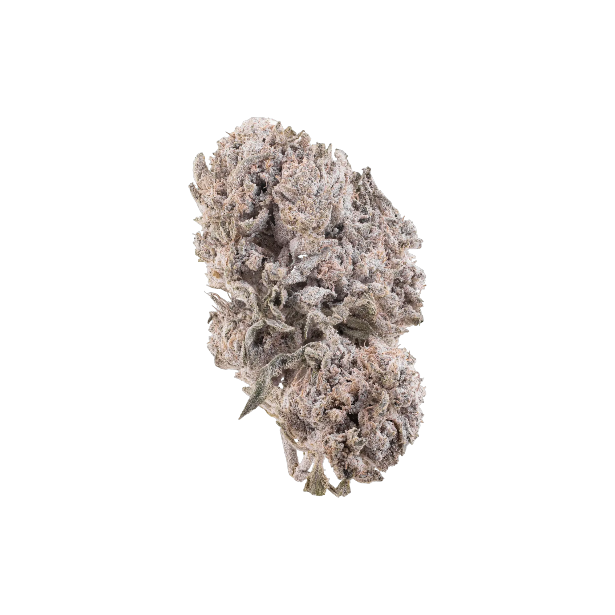 Gipsy Haze THCA Blüten kaufen | GLAZED®