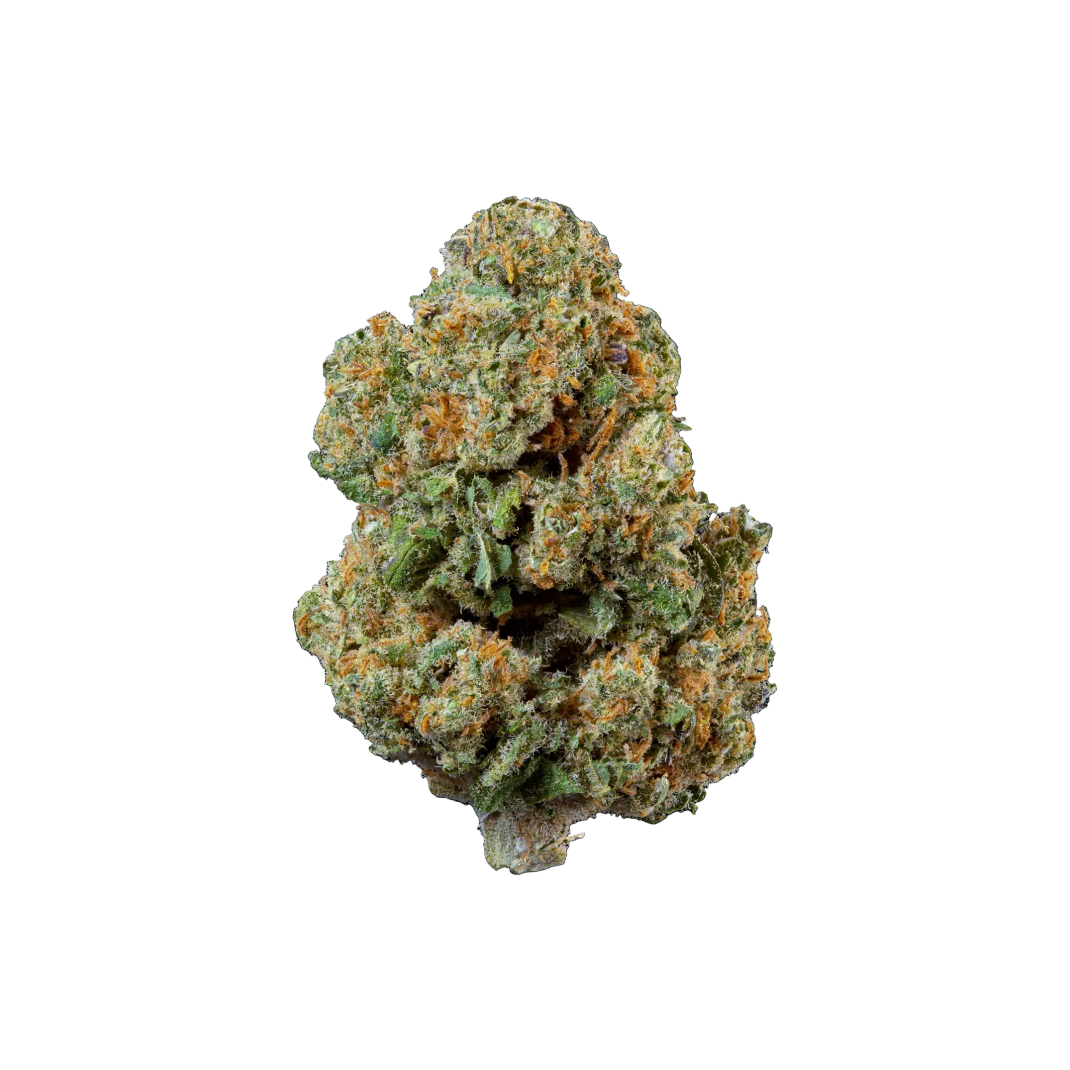 Girl Scout Cookies THCA Blüten kaufen | GLAZED®