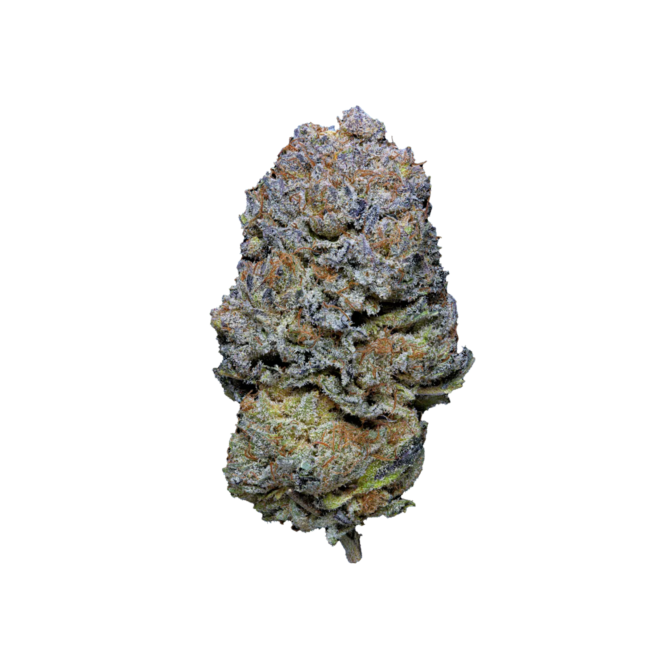 Granddaddy Purple THCA Blüten kaufen | GLAZED®