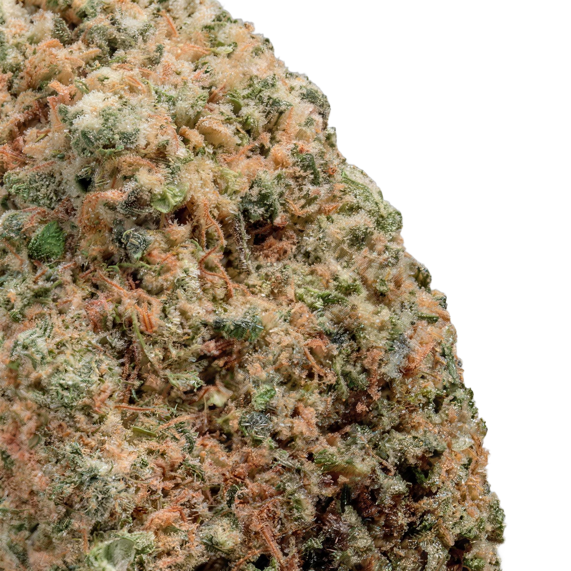 Mimosa THCA Blüten Makro – Trichome & Blütenstruktur | GLAZED®