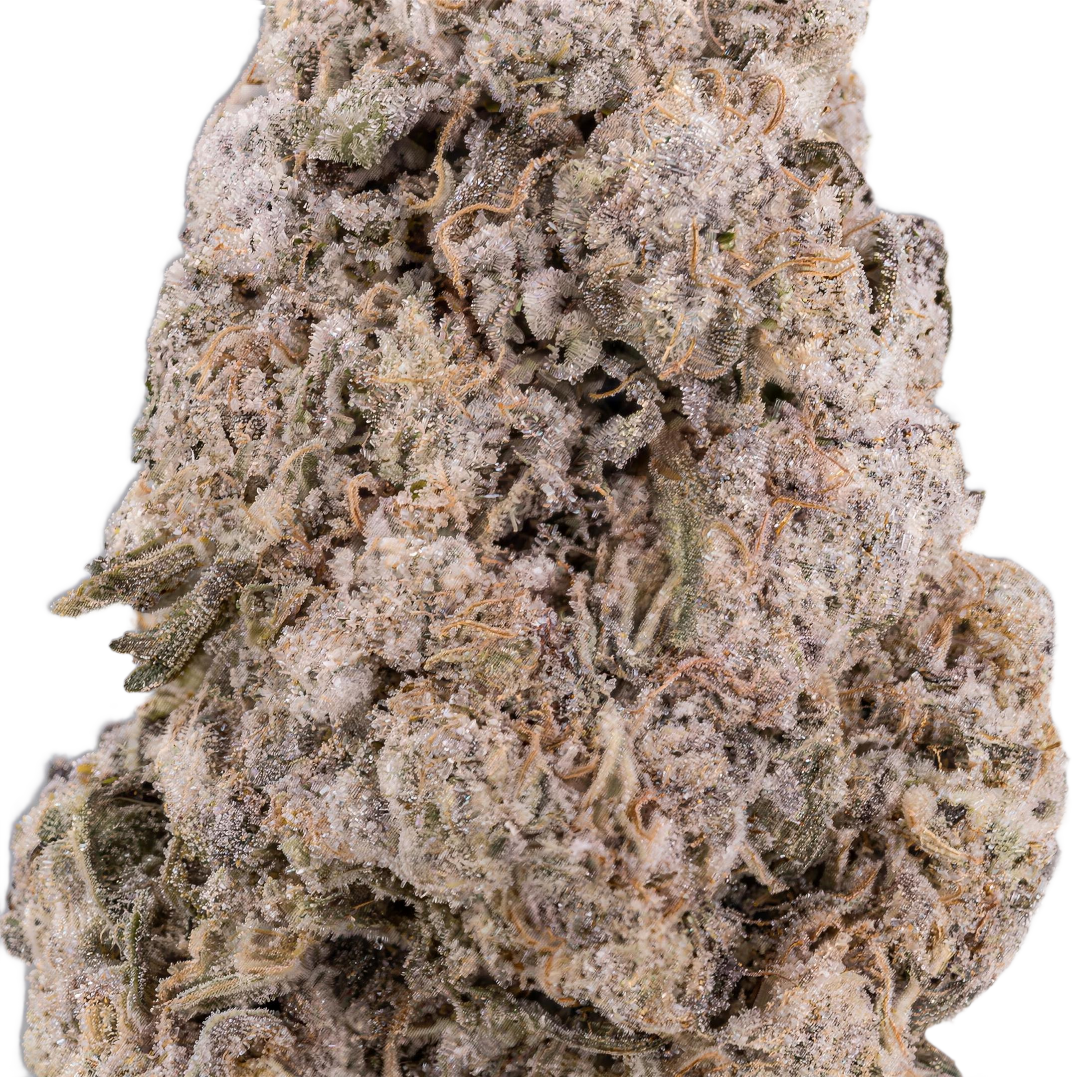 Zkittles THCA Blüten Makro – Trichome & Blütenstruktur | GLAZED®