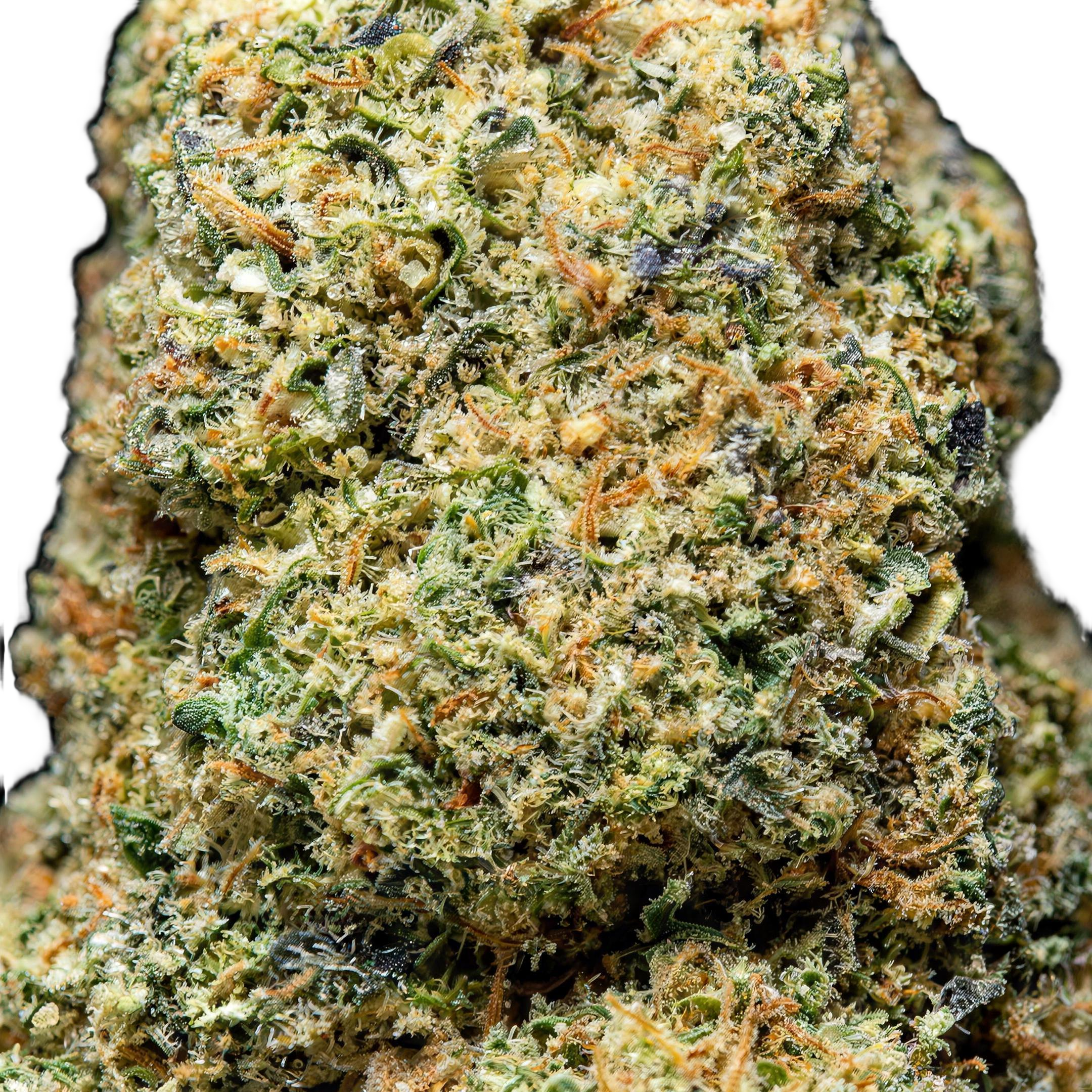 Diabolo THCA Blüten Makro – Trichome & Blütenstruktur | GLAZED®