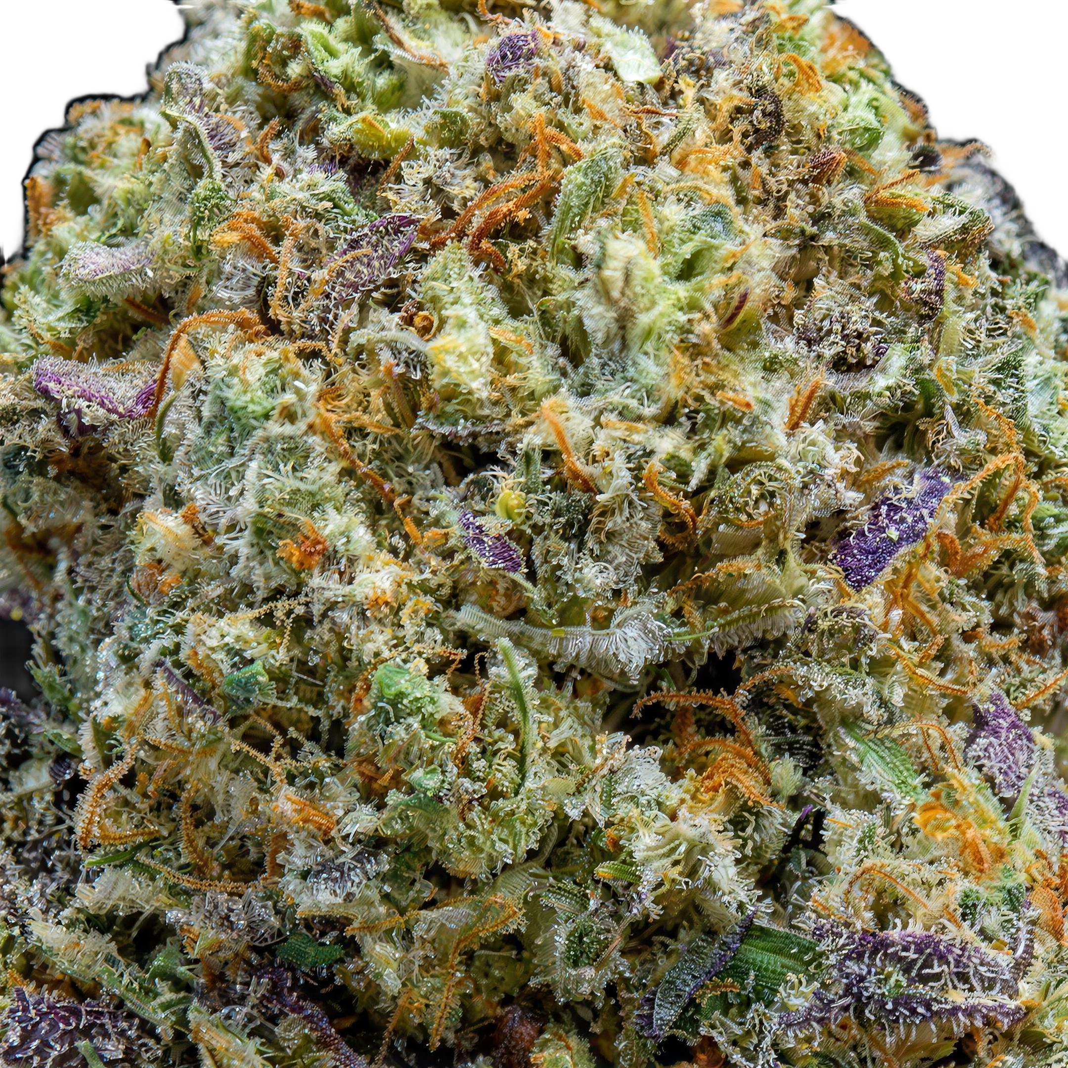 Wedding Crasher THCA Blüten Makro – Trichome & Blütenstruktur | GLAZED®