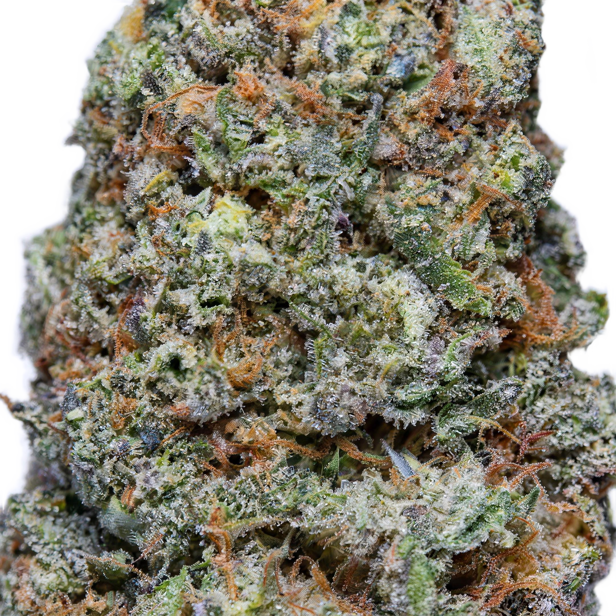 Jokerz THCA Blüten Makro – Trichome & Blütenstruktur | GLAZED®