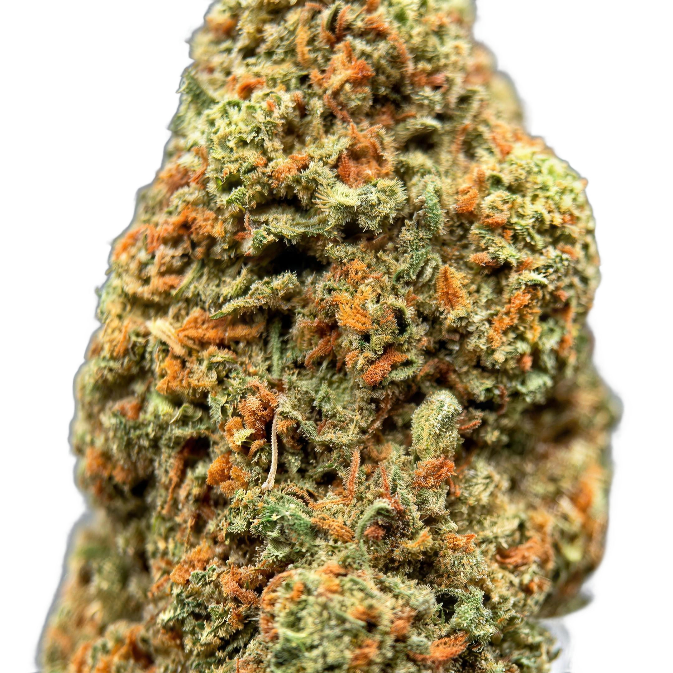 Orange Bud THCA Blüten Makro – Trichome & Blütenstruktur | GLAZED®
