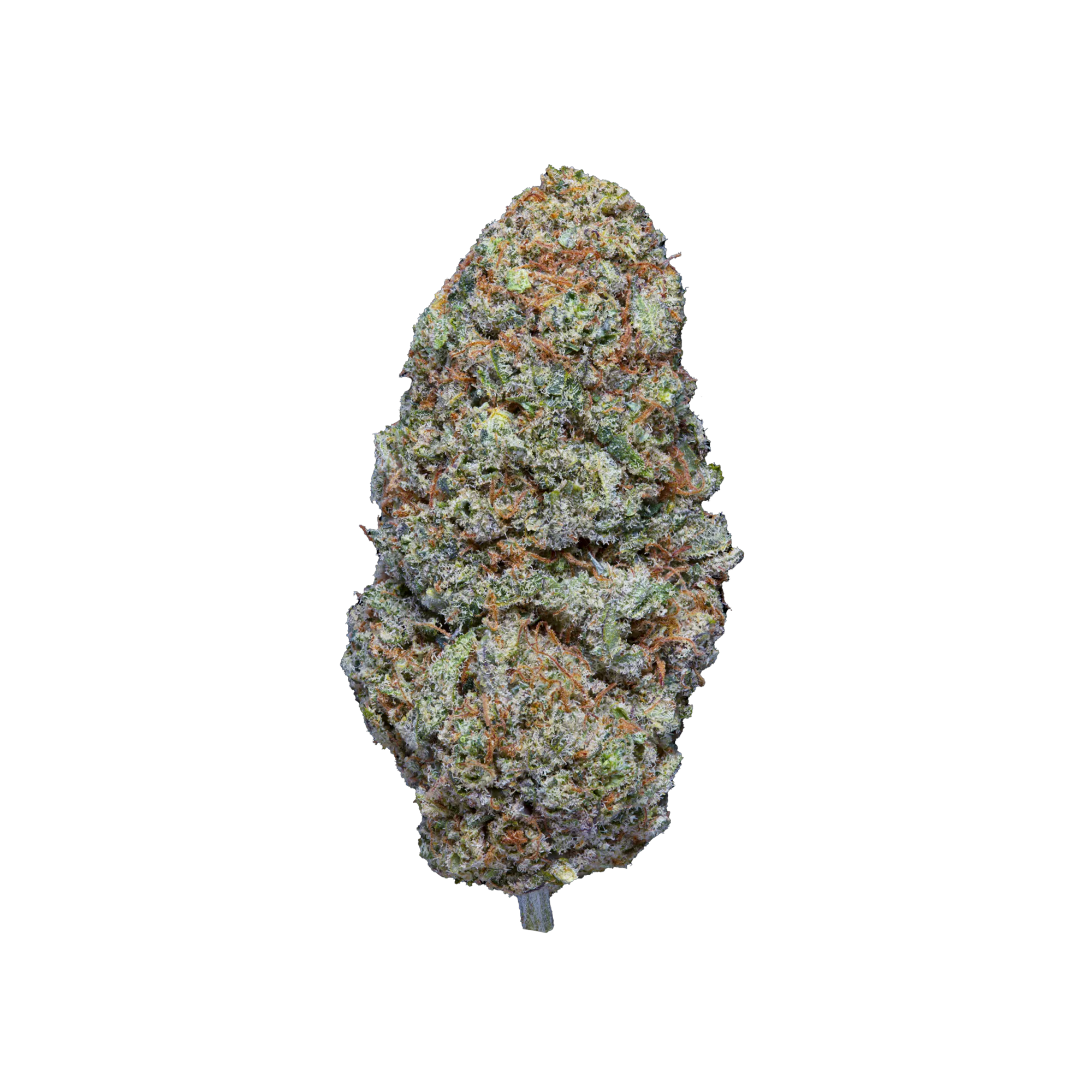 Jokerz kaufen | GLAZED®