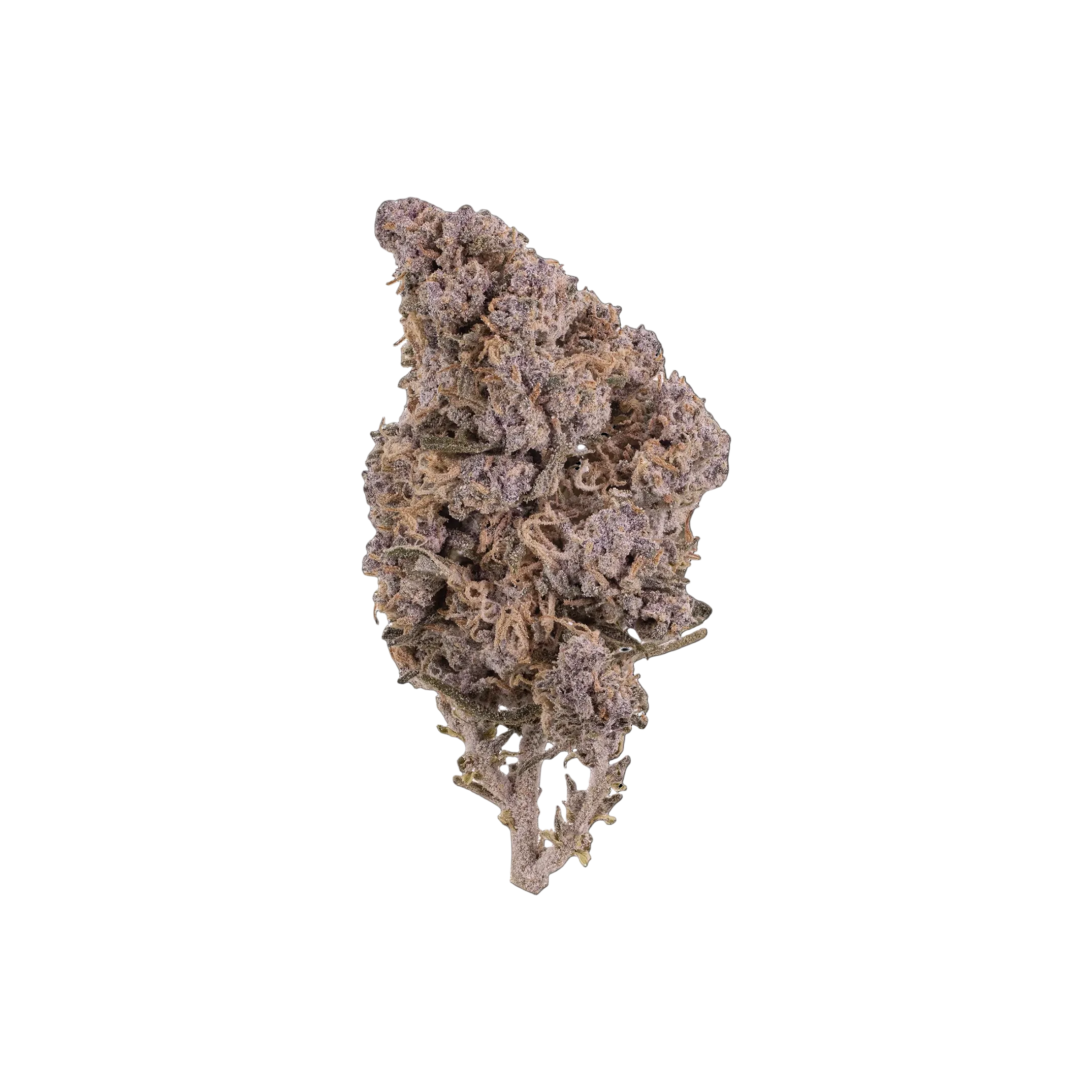 Kitty THCA Blüten kaufen | GLAZED®