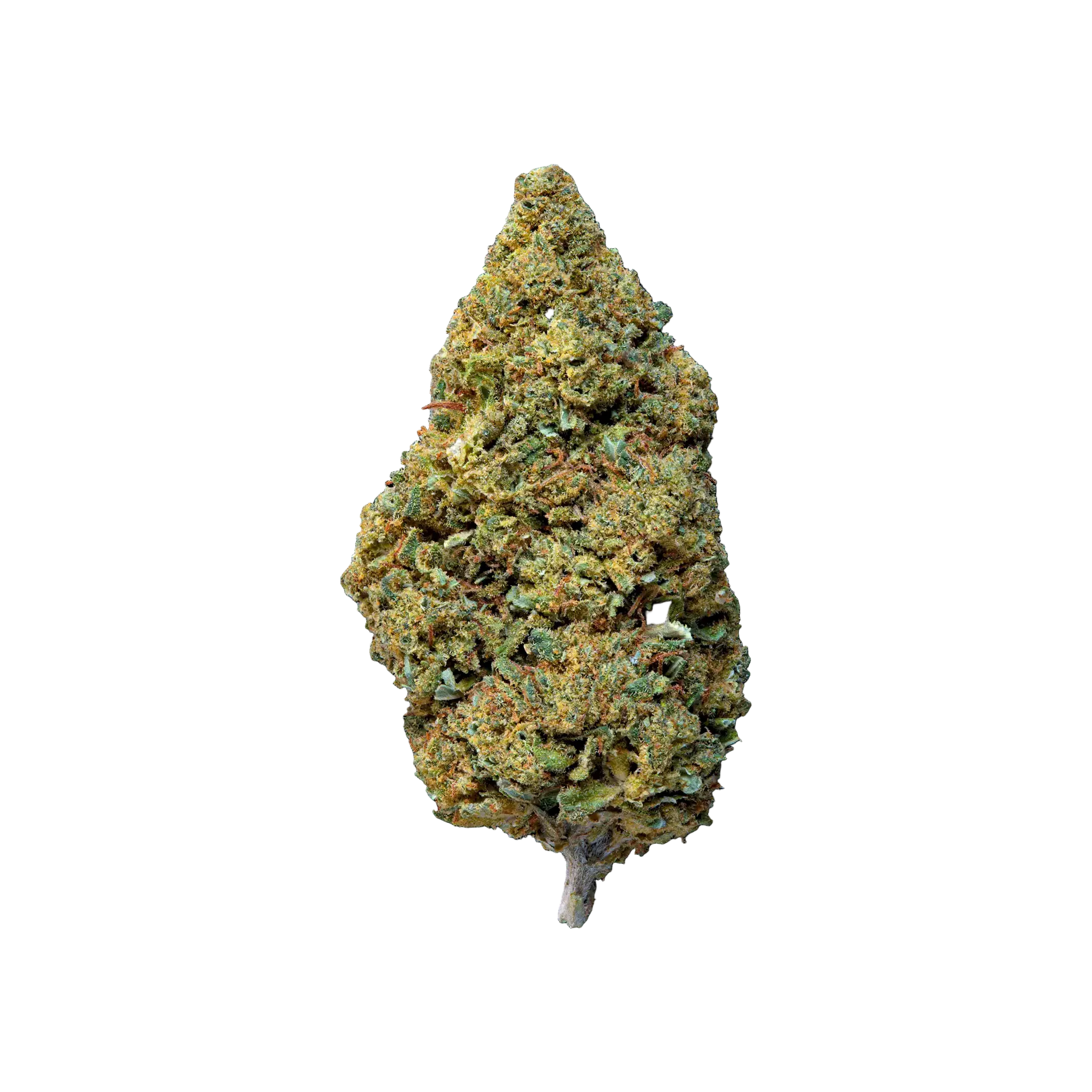Lemon Haze THCA Blüten kaufen | GLAZED®