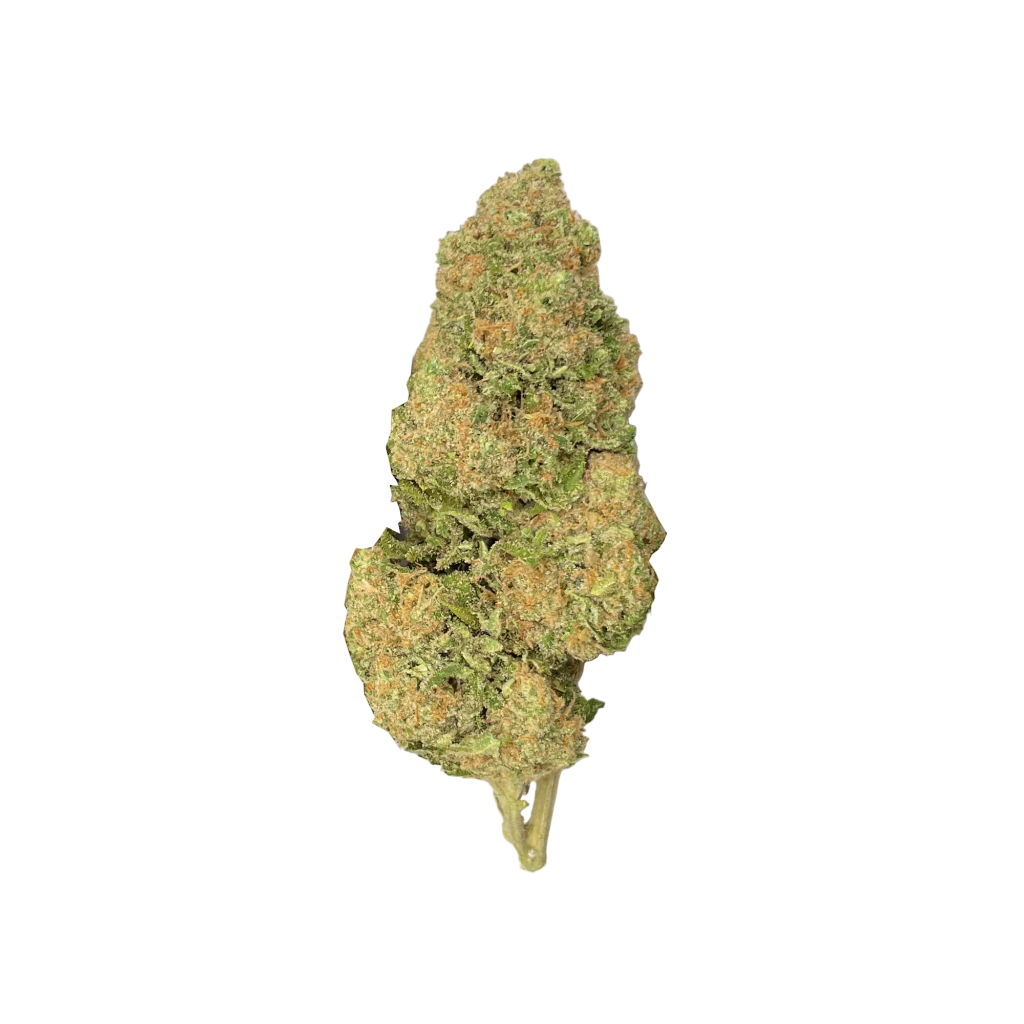 Sunset Sherbet kaufen | GLAZED®