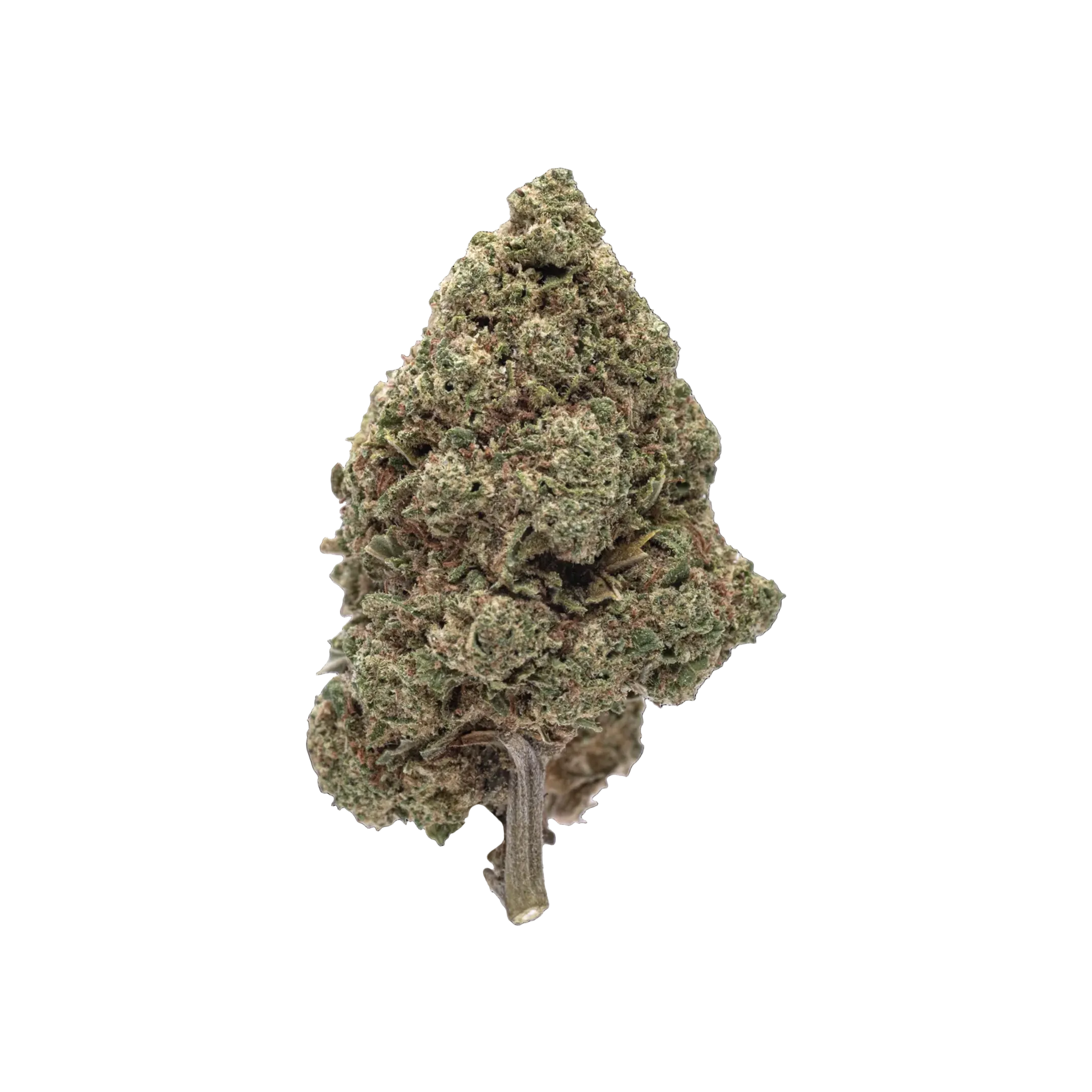 Watermelon THCA Blüten kaufen | GLAZED®