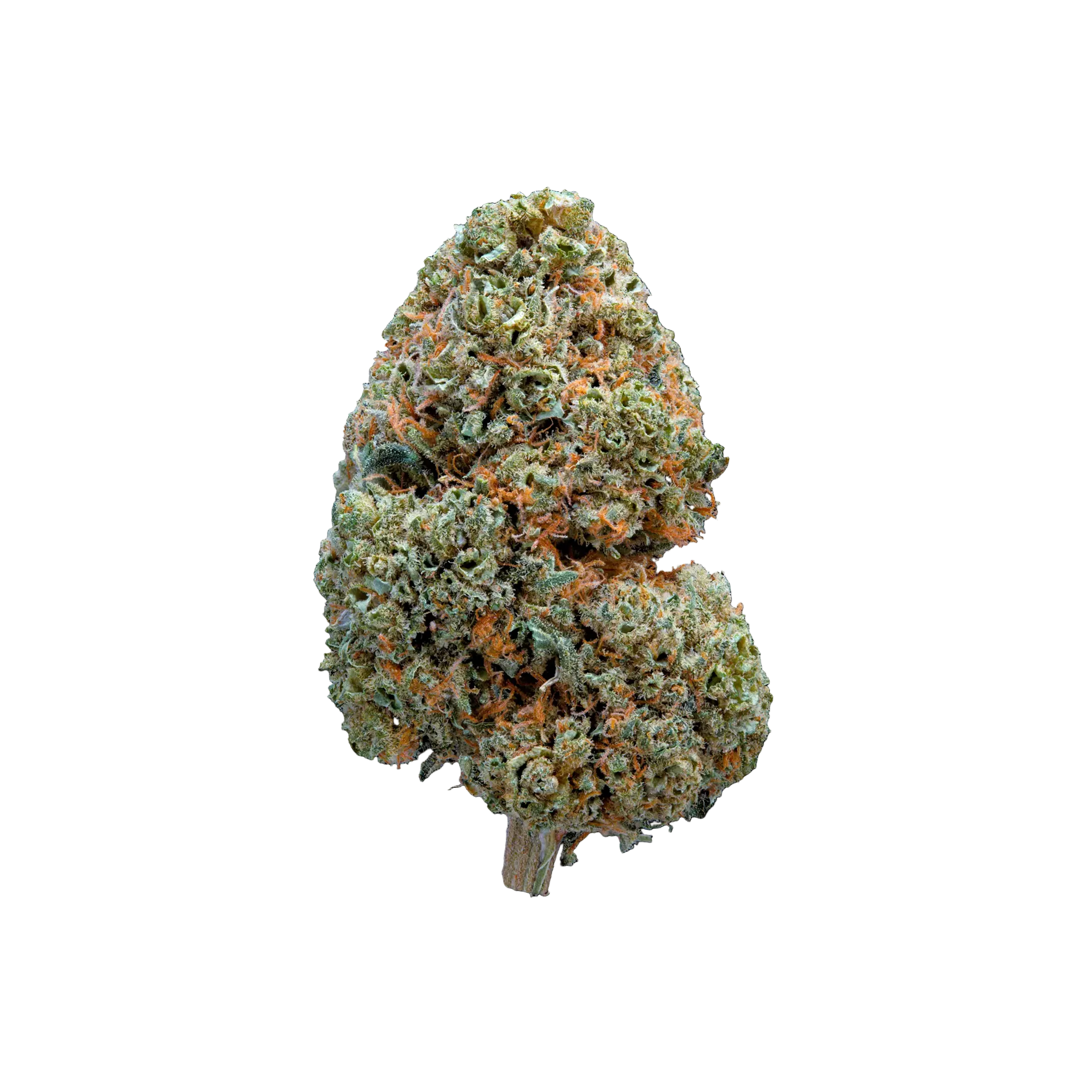 Wazabi THCA Blüten kaufen | GLAZED®