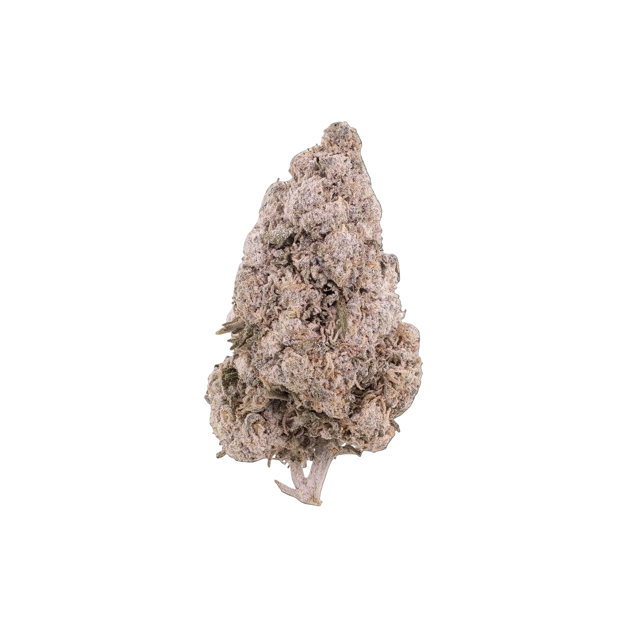 Zkittles THCA Blüten kaufen | GLAZED®