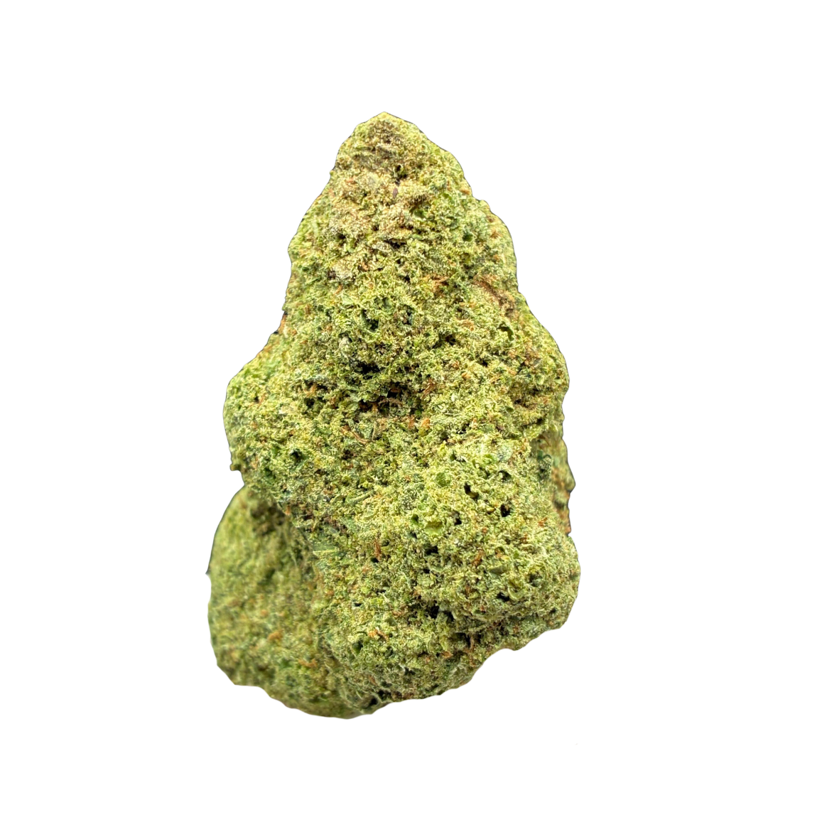 AMNESIA CRYO