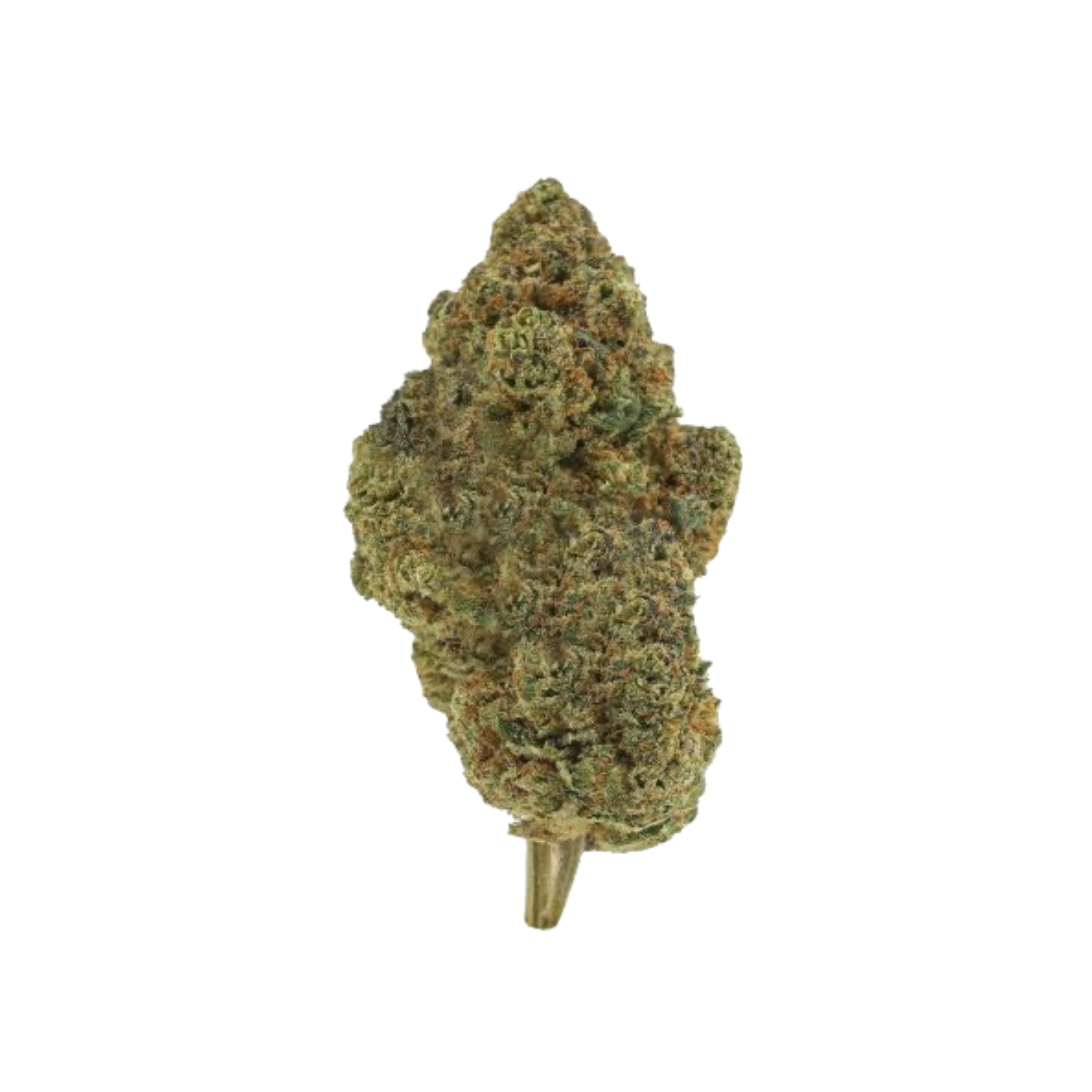 Sherblato THCA Blüten kaufen | GLAZED®