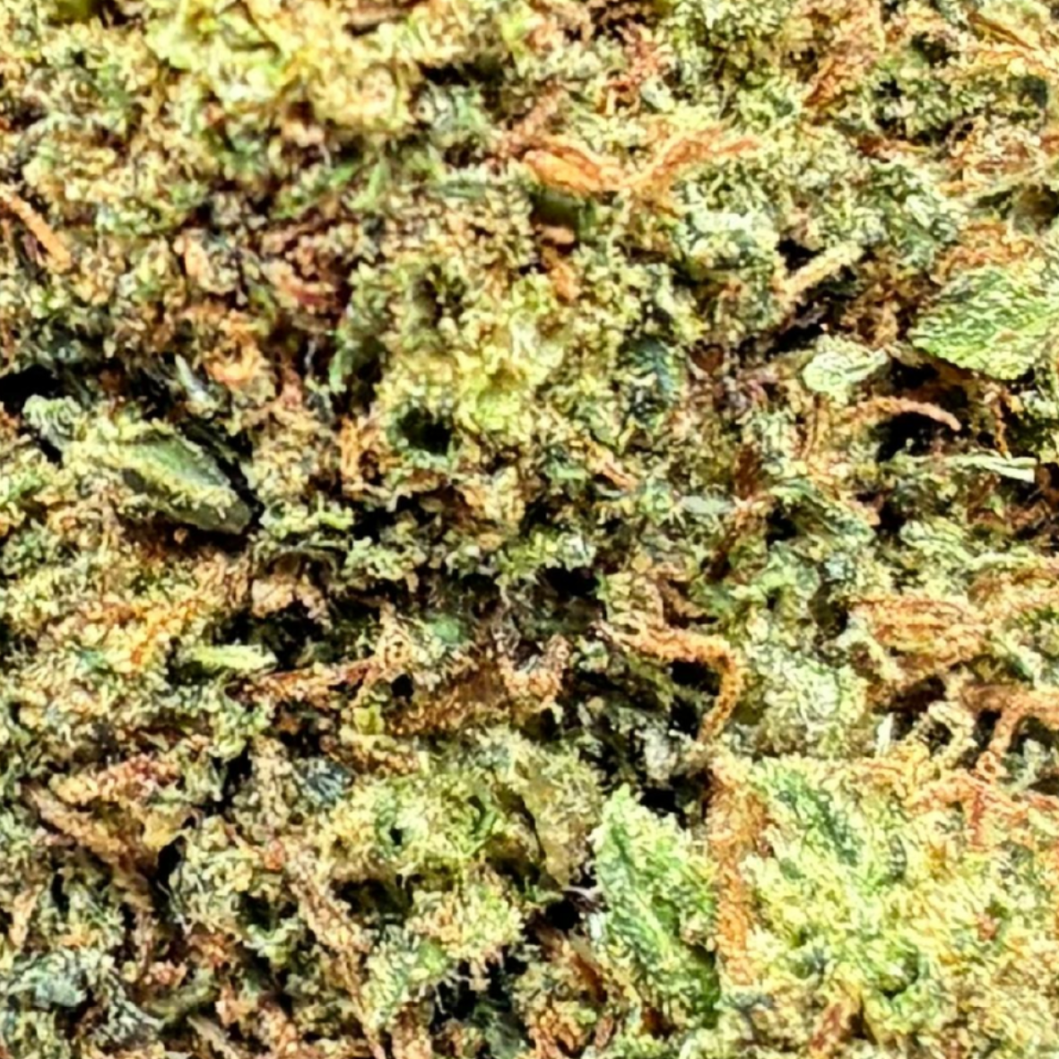 SUPER SKUNK