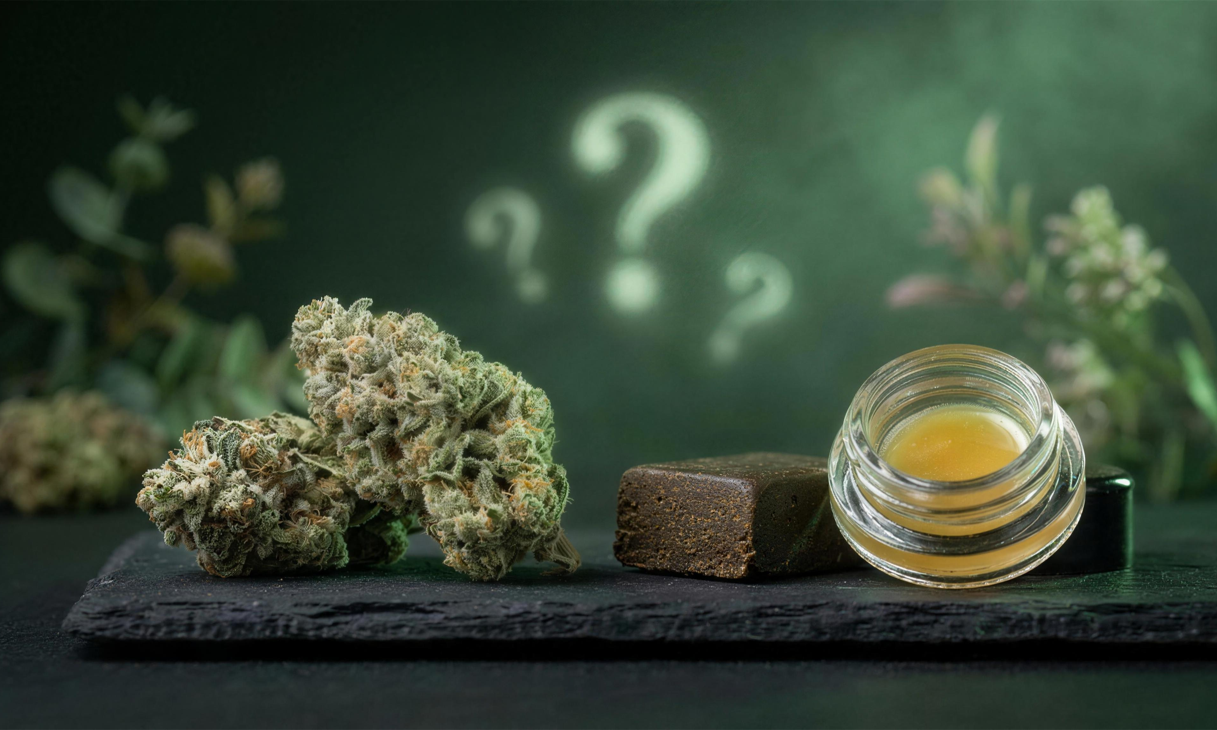THCA FAQ: Blüten, Hash & Live Rosin Extrakt im Überblick | GLAZED®