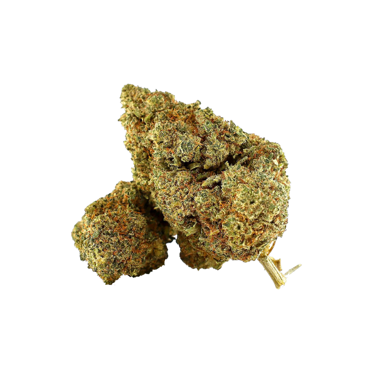 AMNESIA OG THCA Infused Blüten kaufen | GLAZED®