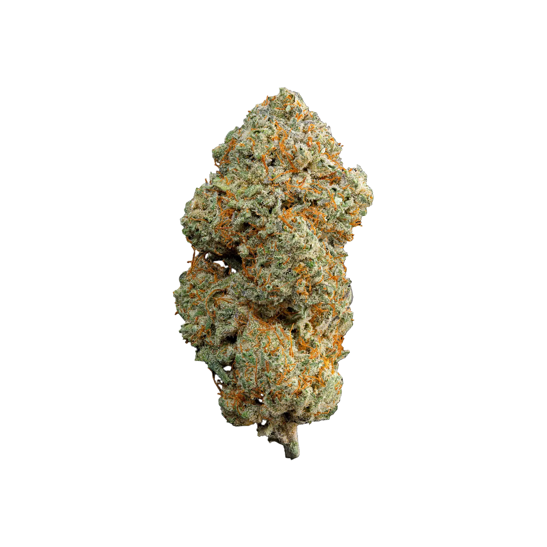 Apple Fritter THCA Blüten kaufen | GLAZED®