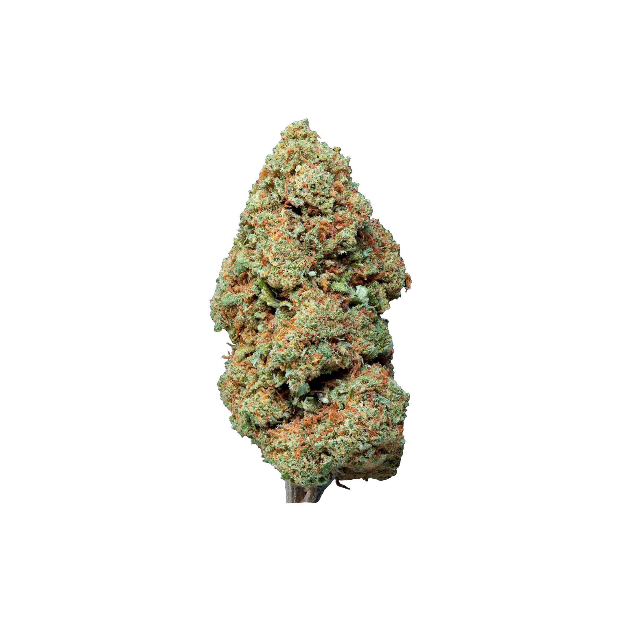 Blueberry Muffin THCA Blüten kaufen | GLAZED®
