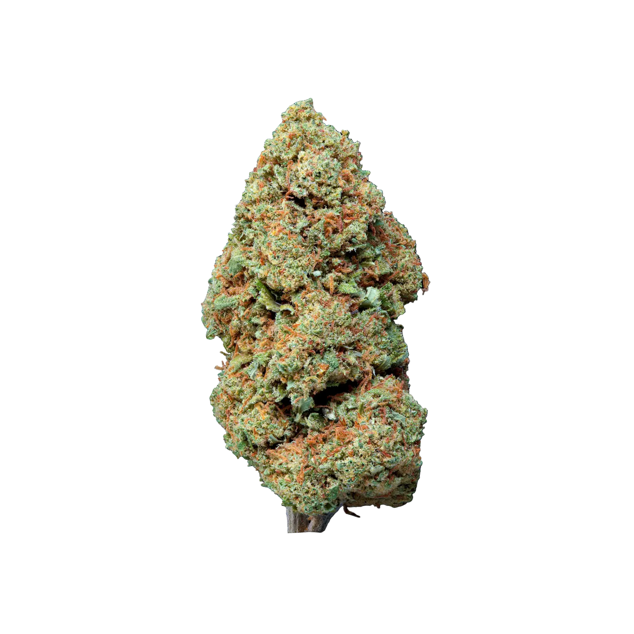Blueberry Muffin THCA Blüten kaufen | GLAZED®