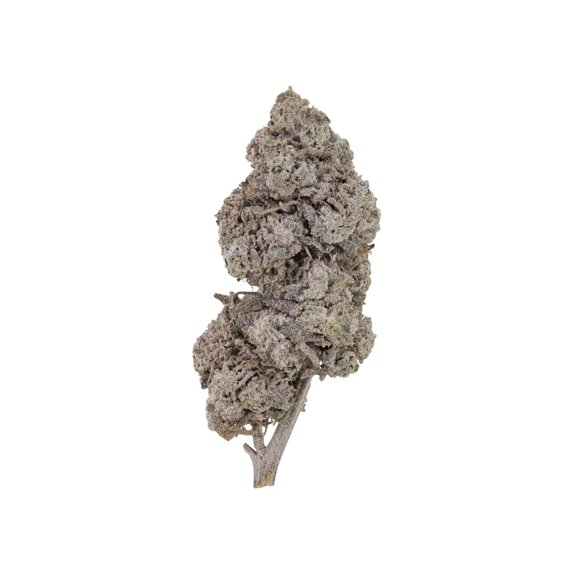 Bubblegum THCA Blüten kaufen | GLAZED®