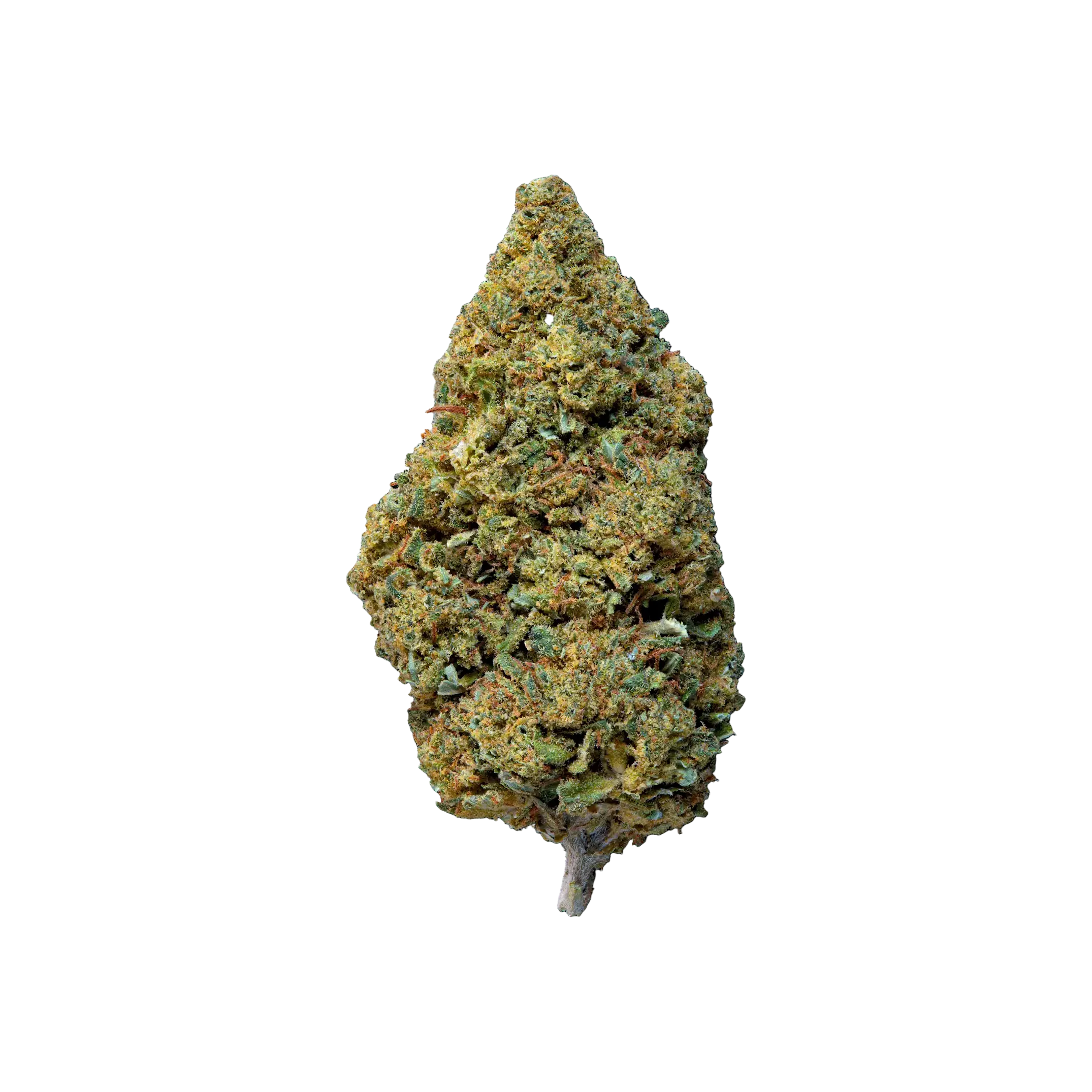Gelato #41 THCA Blüten kaufen | GLAZED®