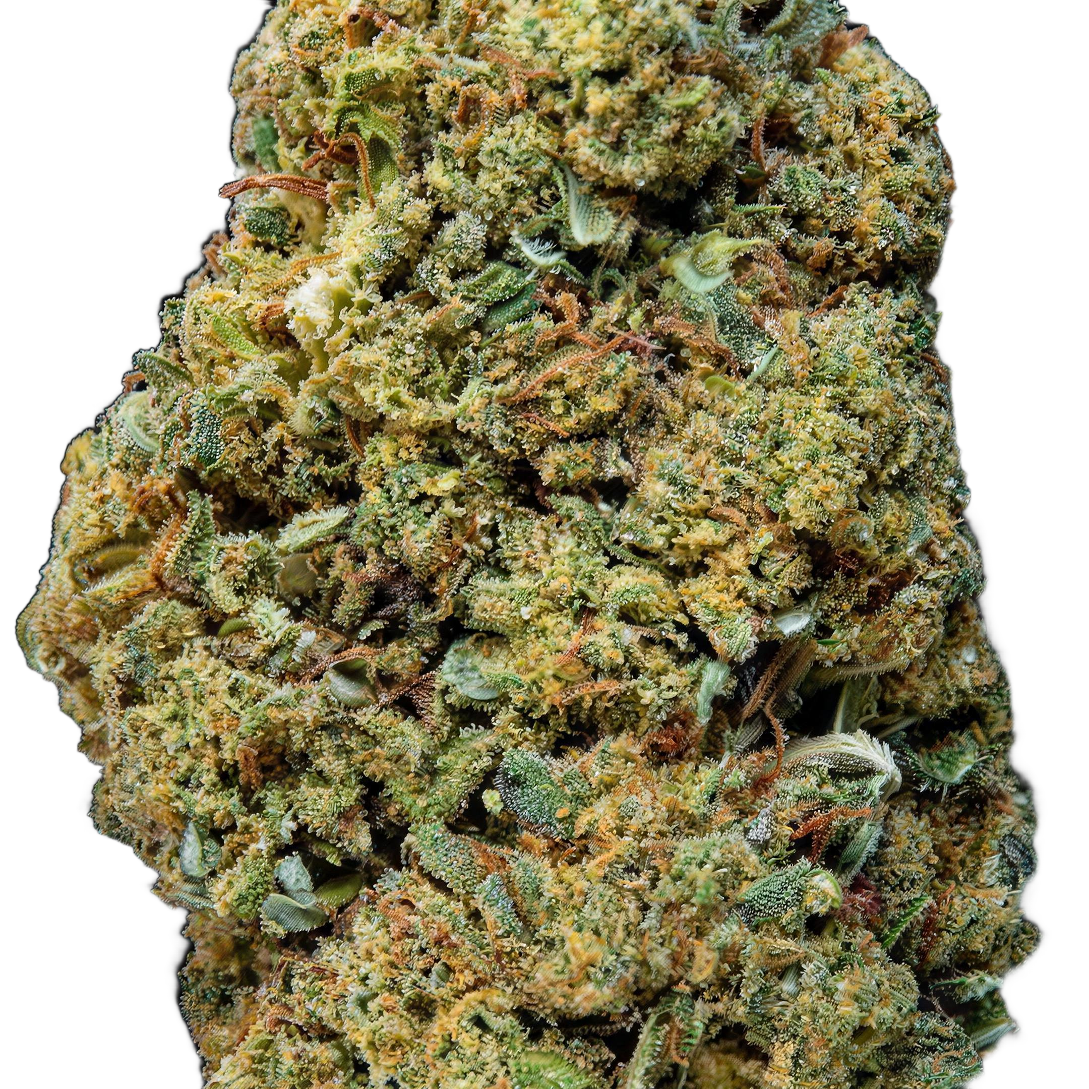 Lemon Haze THCA Blüten Makro – Trichome & Blütenstruktur | GLAZED®