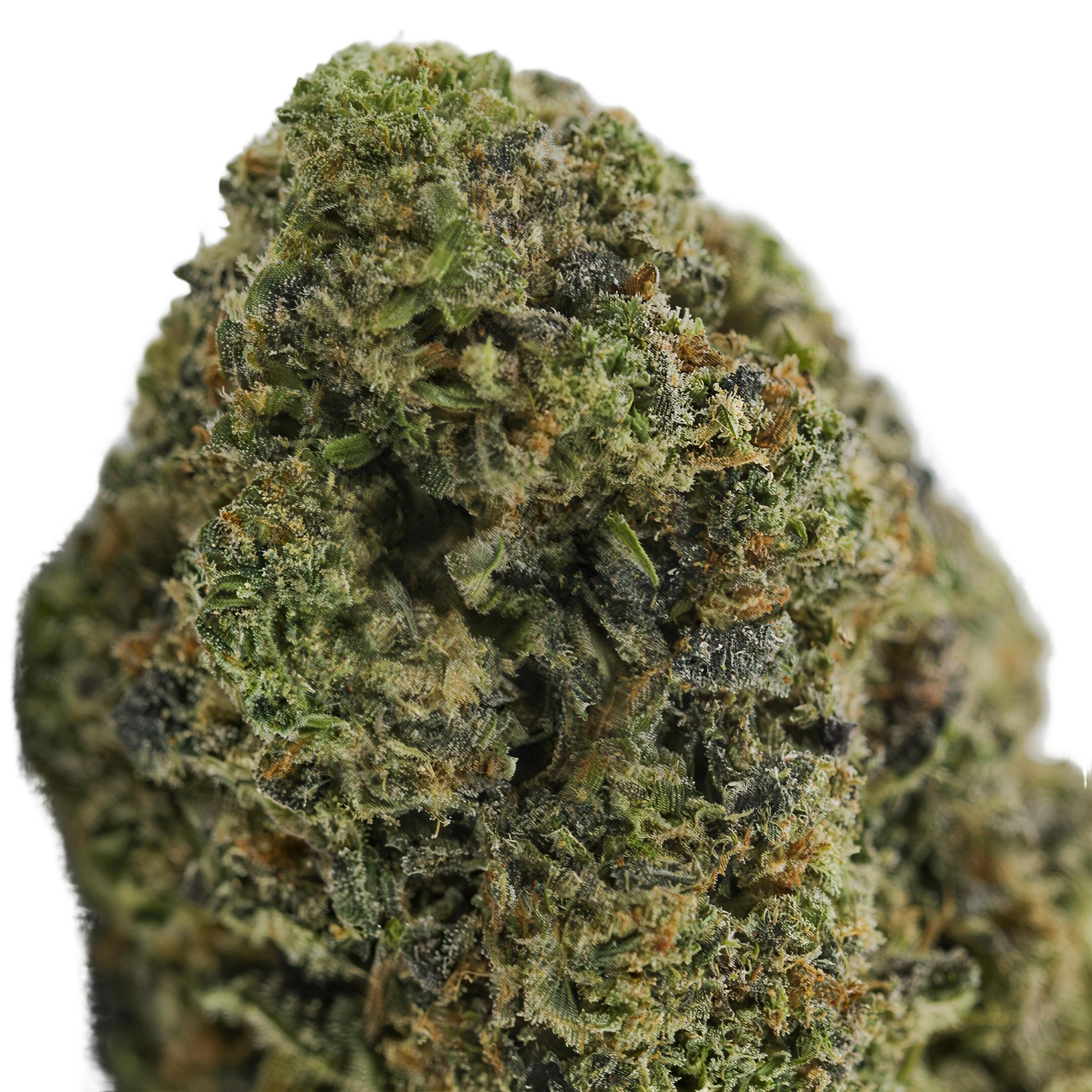 Bubblegum THCA Blüten Makro – Trichome & Blütenstruktur | GLAZED®