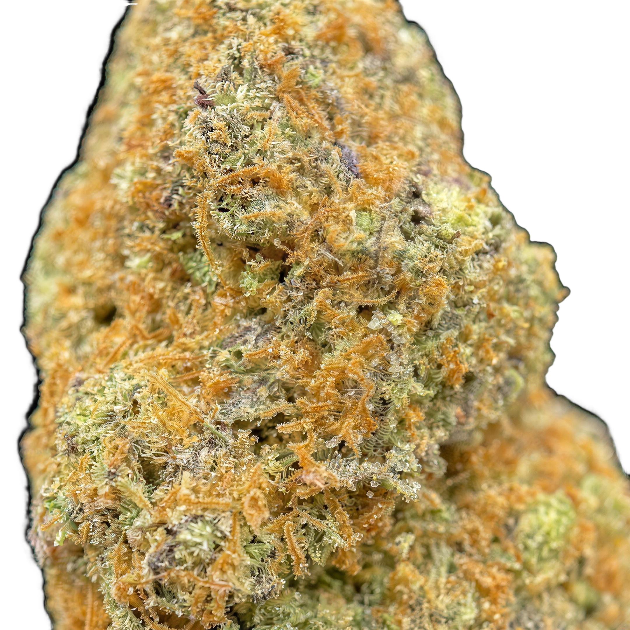 Purple Punch THCA Blüten Makro – Trichome & Blütenstruktur | GLAZED®