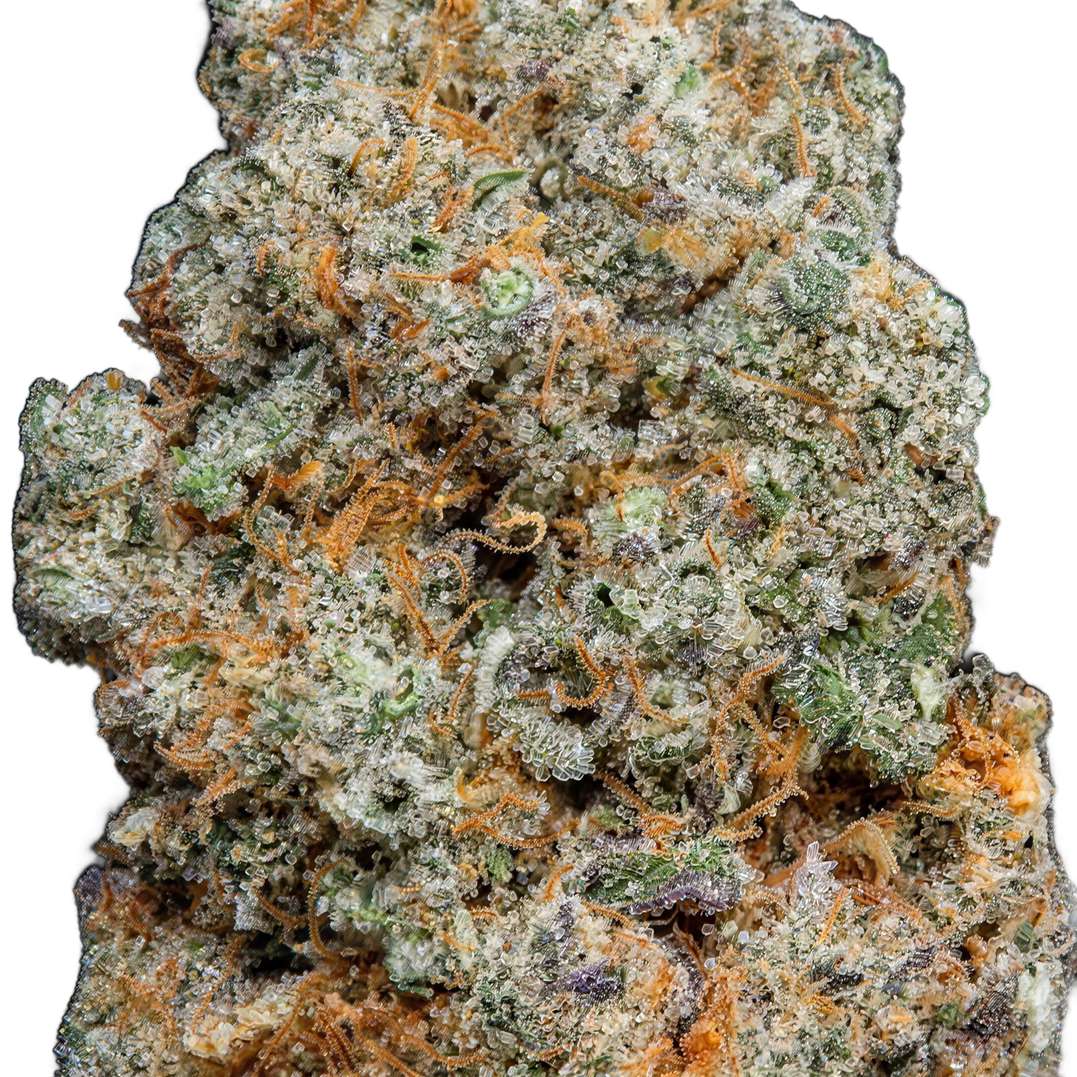 Dantes Inferno THCA Blüten Makro – Trichome & Blütenstruktur | GLAZED®