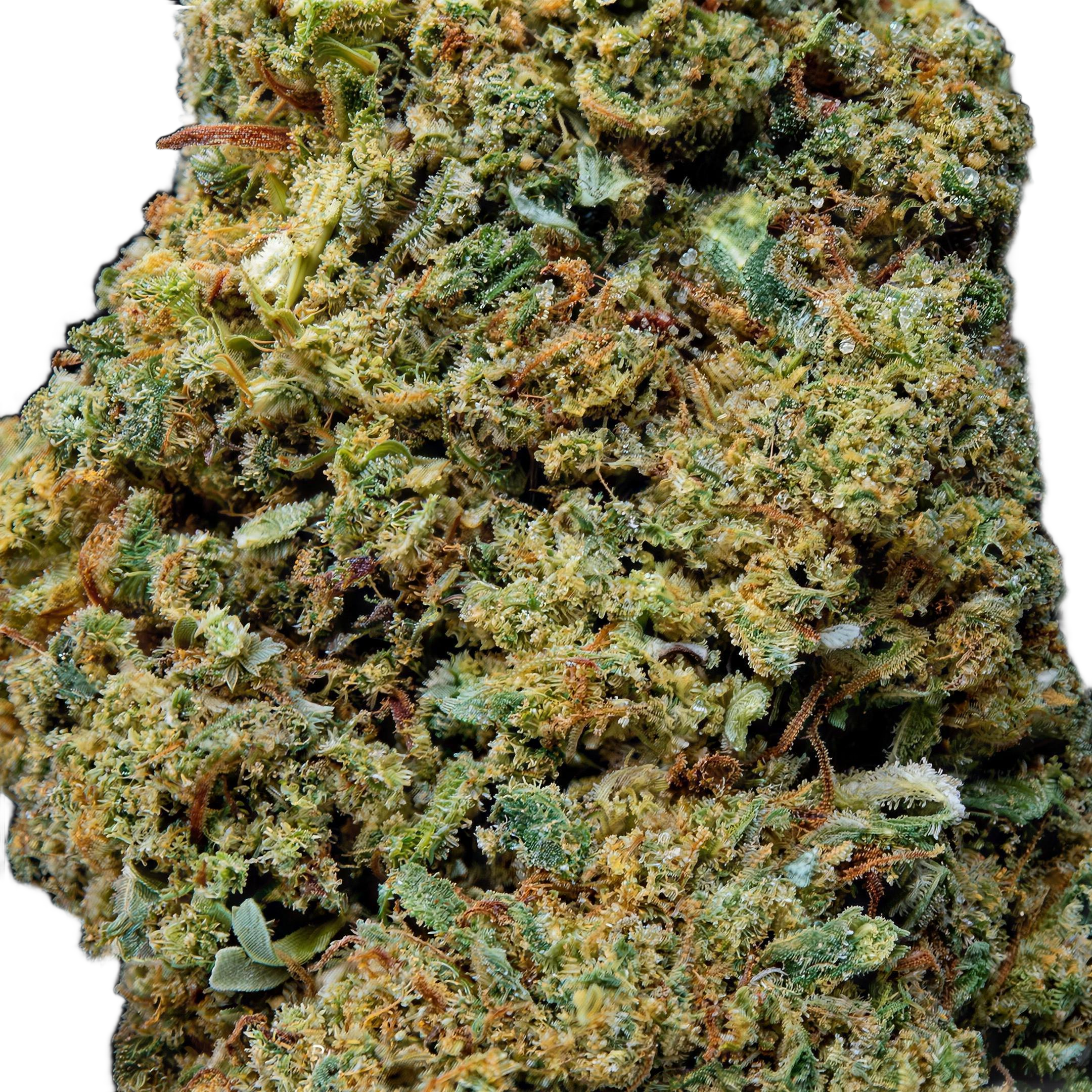 Gelato #41 THCA Blüten Makro – Trichome & Blütenstruktur | GLAZED®