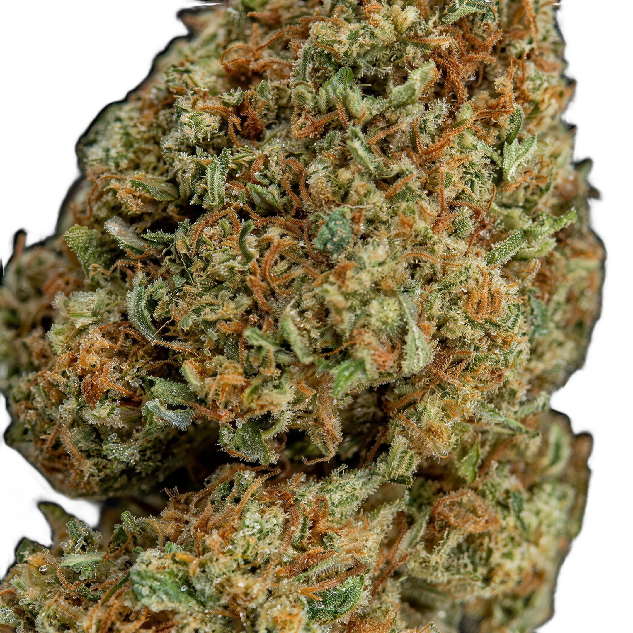 Grape Madness THCA Blüten Makro – Trichome & Blütenstruktur | GLAZED®