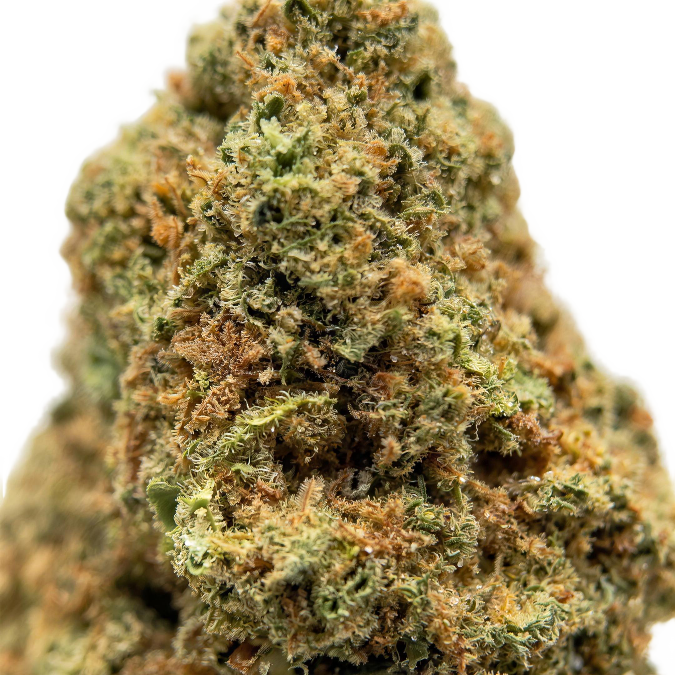 Blueberry Mojito THCA Blüten Makro – Trichome & Blütenstruktur | GLAZED®