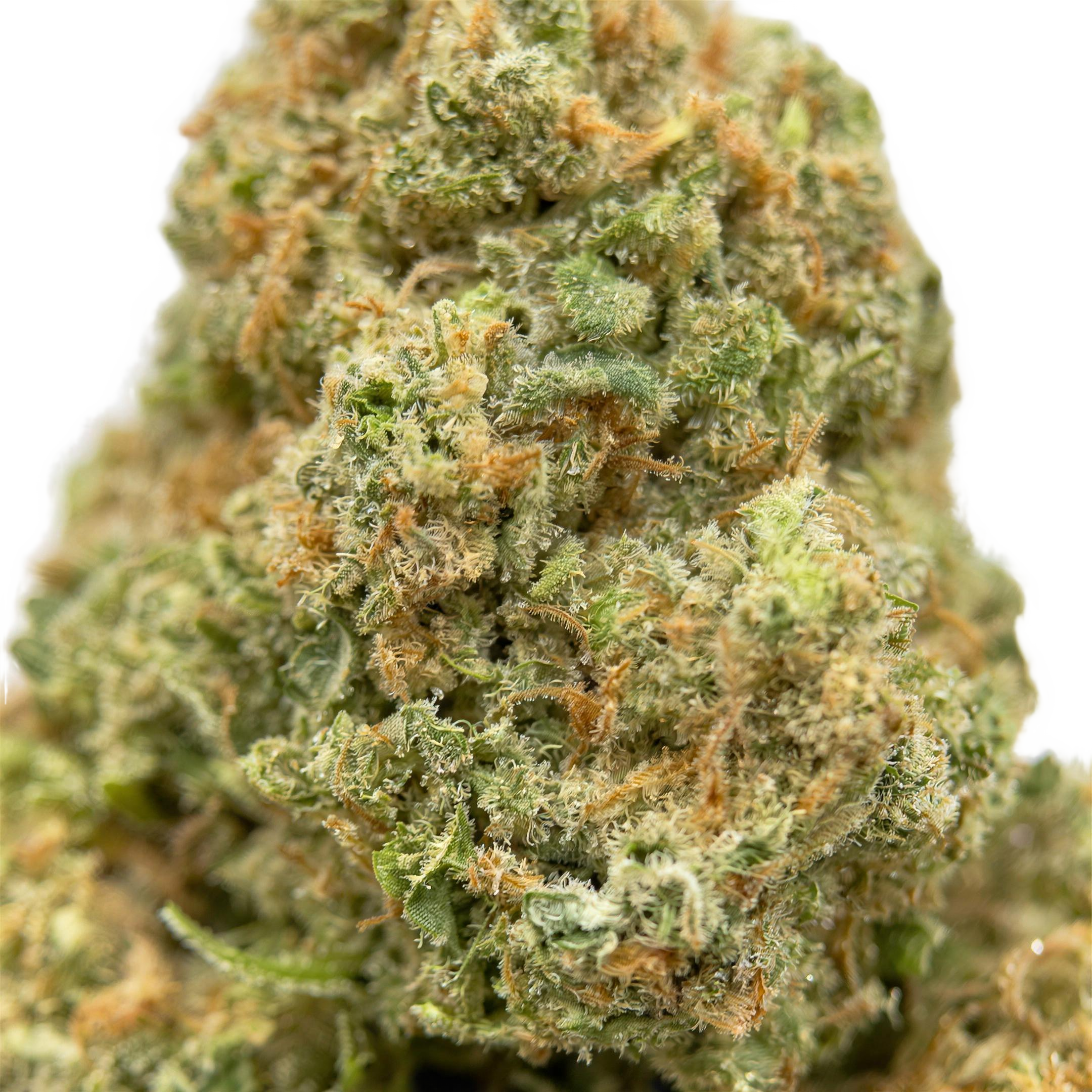 Glookies THCA Blüten Makro – Trichome & Blütenstruktur | GLAZED®