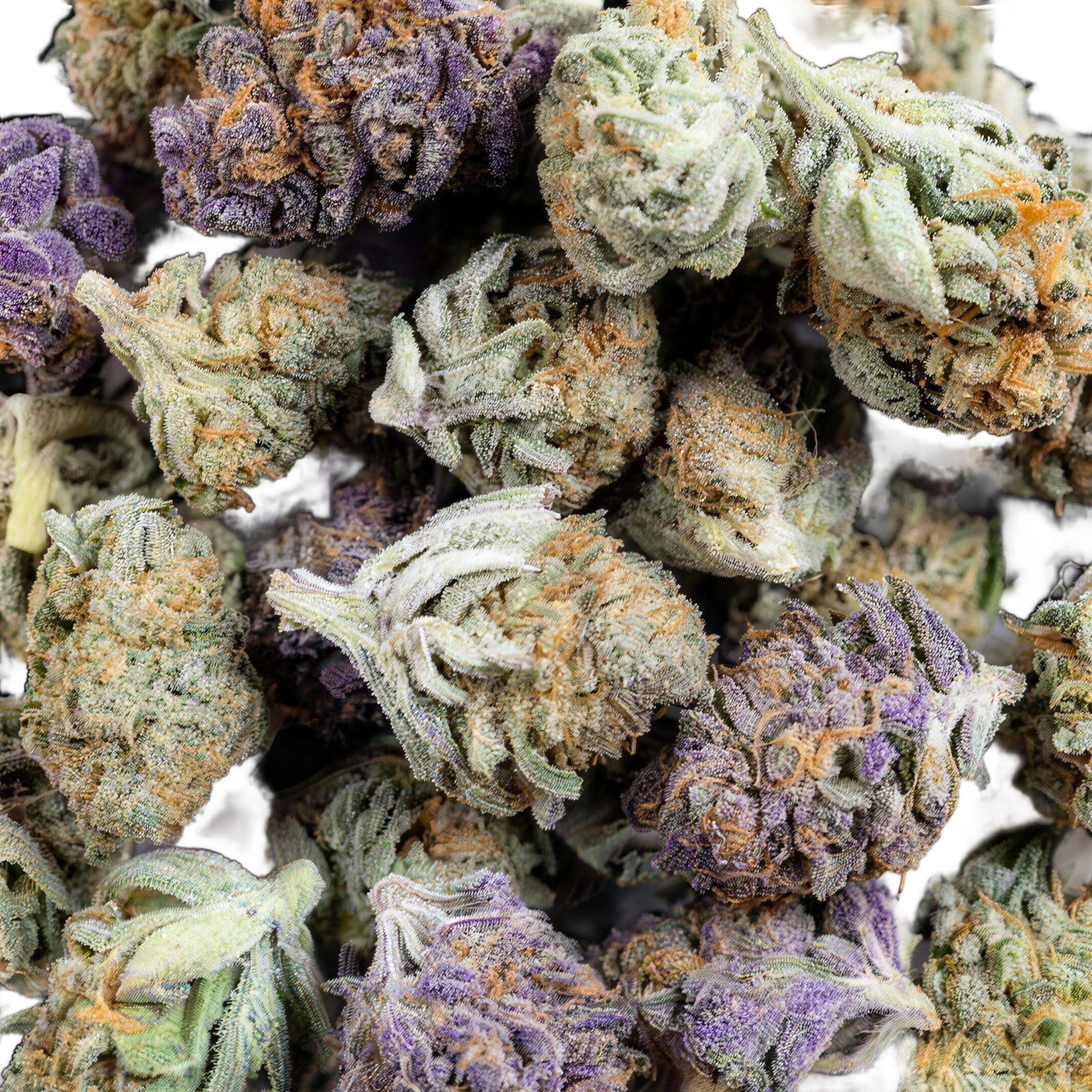 Lil Buds THCA Blüten Makro – Trichome & Blütenstruktur | GLAZED®