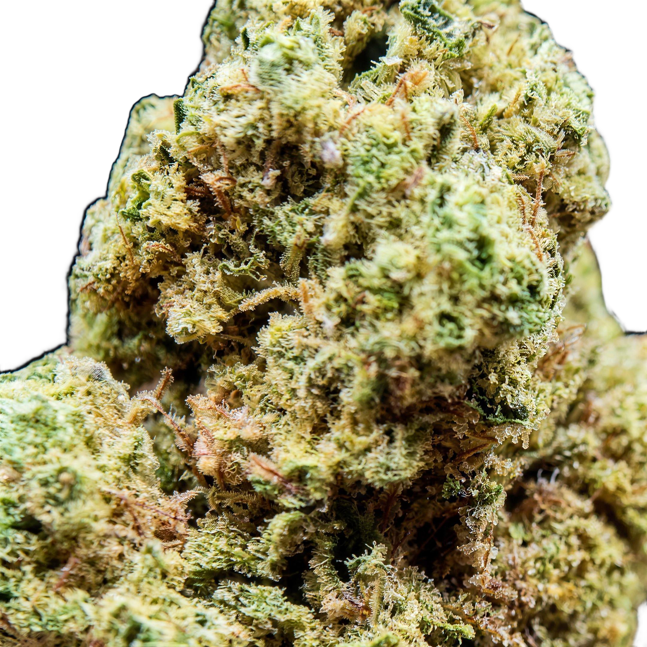 Pineapple Express THCA Blüten Makro – Trichome & Blütenstruktur | GLAZED®