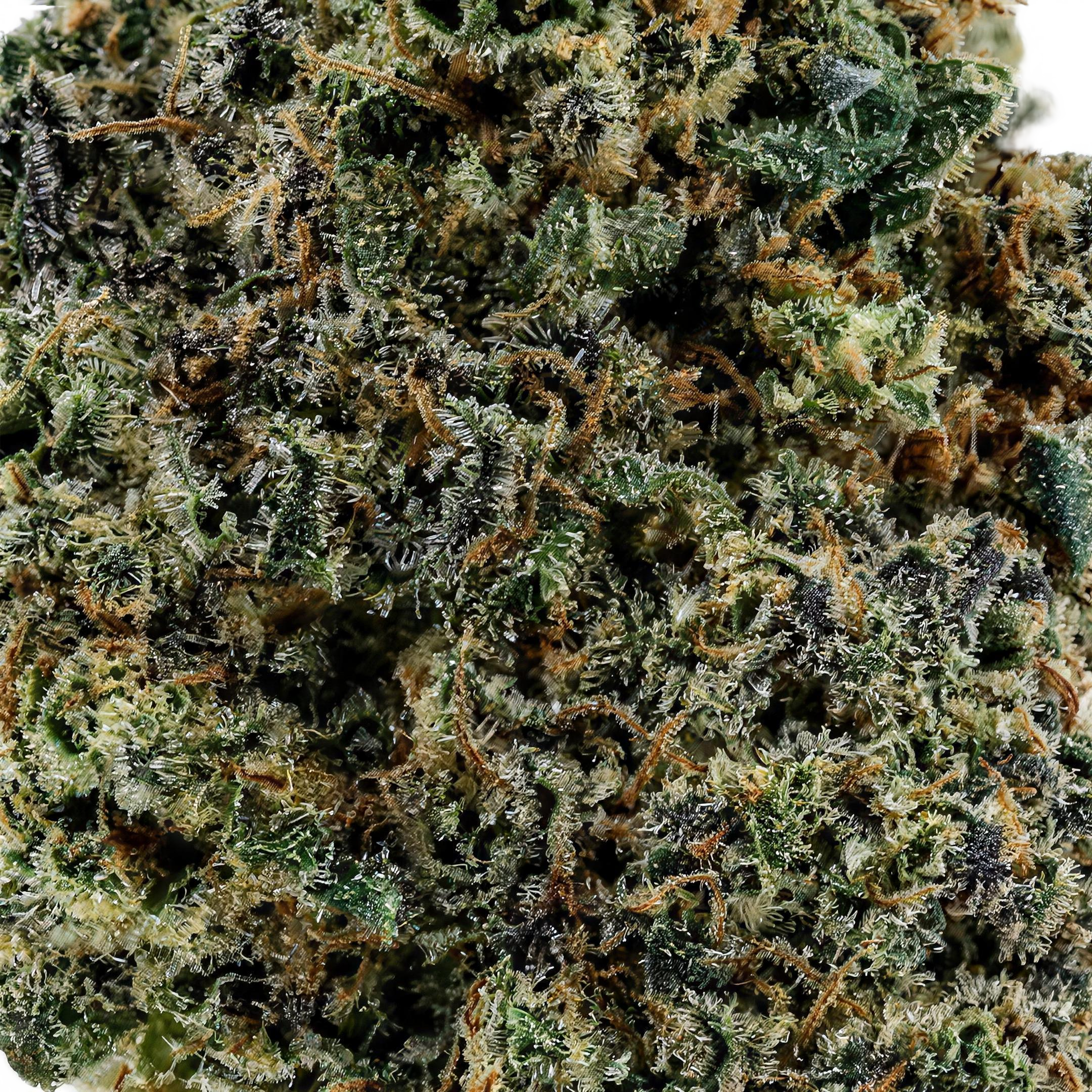 Sherblato THCA Blüten Makro – Trichome & Blütenstruktur | GLAZED®